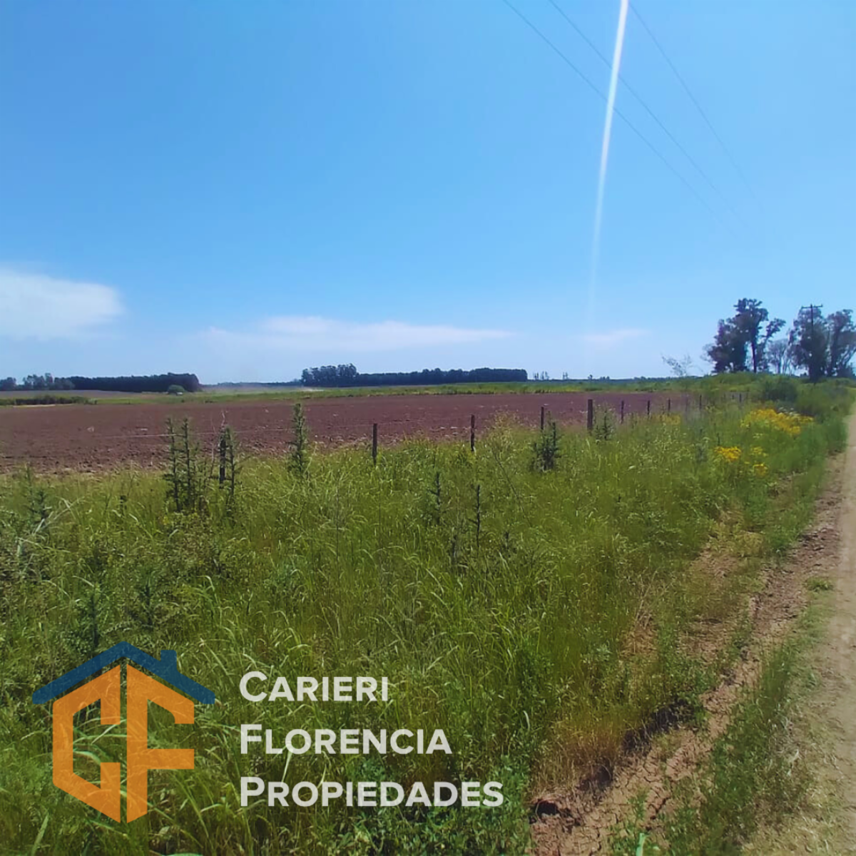 SAN PEDRO, RIO TALA, LA CELINA · San Pedro — foto 3