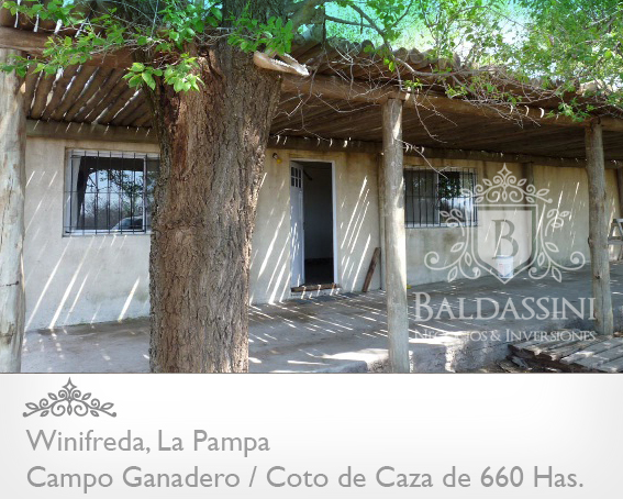 COTO DE CAZA / CAMPO GANADERO DE 660 HAS. EN WINIFREDA · Conhelo — foto 5
