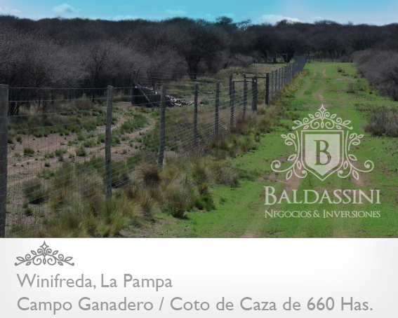 COTO DE CAZA / CAMPO GANADERO DE 660 HAS. EN WINIFREDA · Conhelo — foto 6