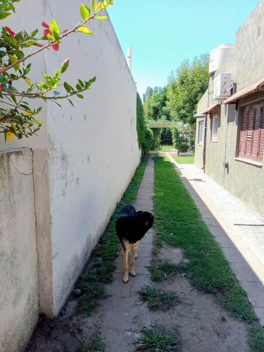 Gutiérrez N° 850 · General Las Heras — foto 15