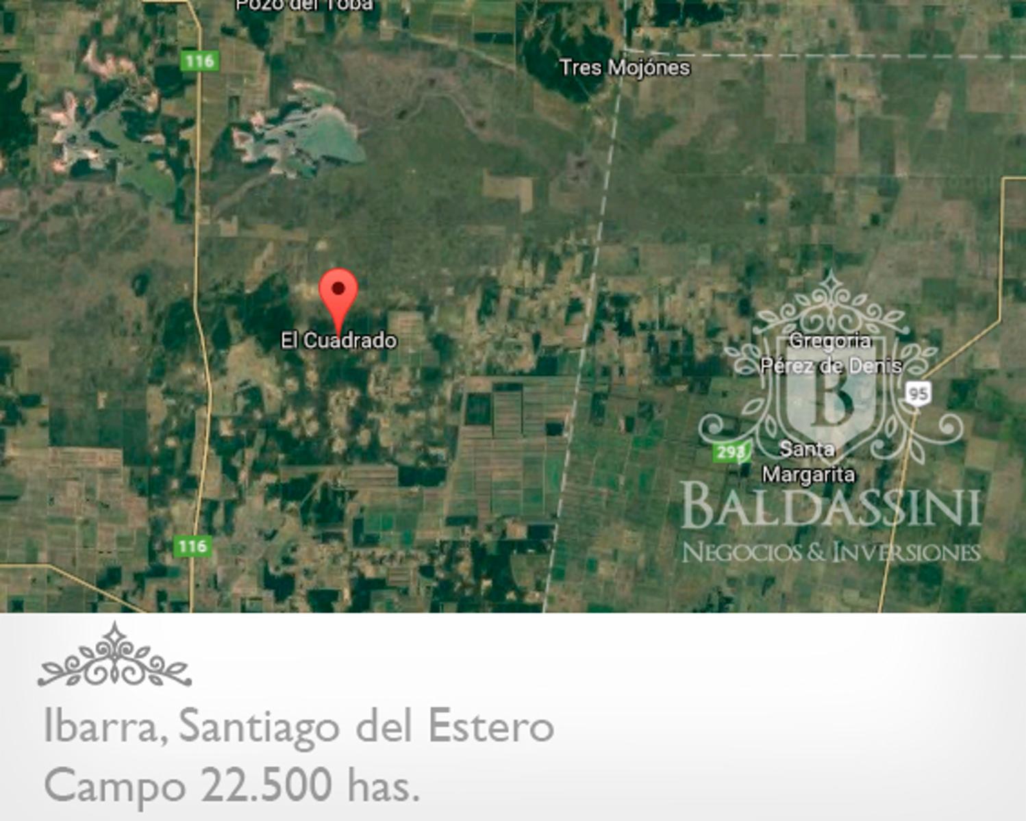 Campo Mixto 22.500 Has en Ibarra, Santiago del Estero