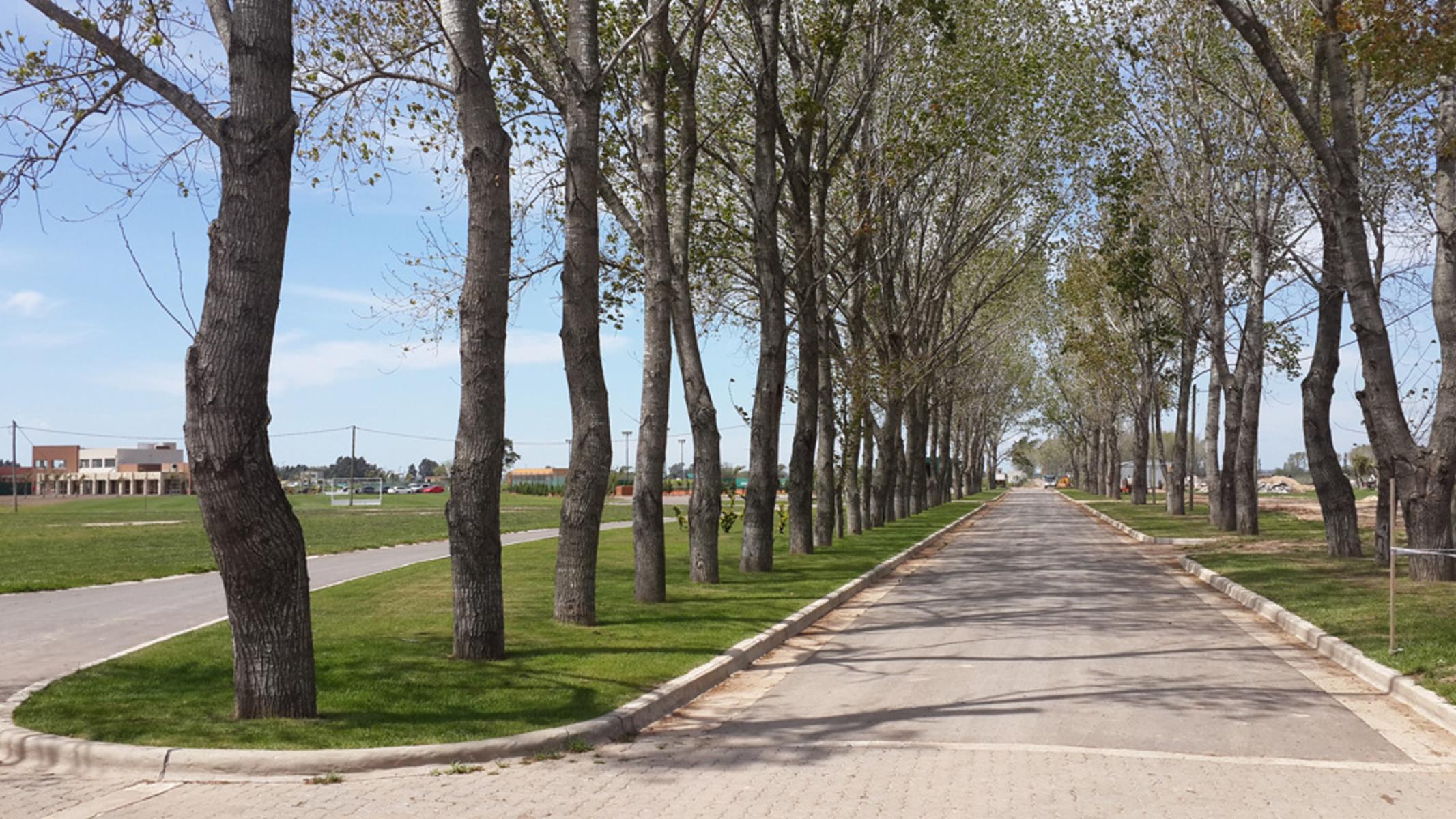 Excelente lote interno en Barrio Privado LA ALAMEDA 
