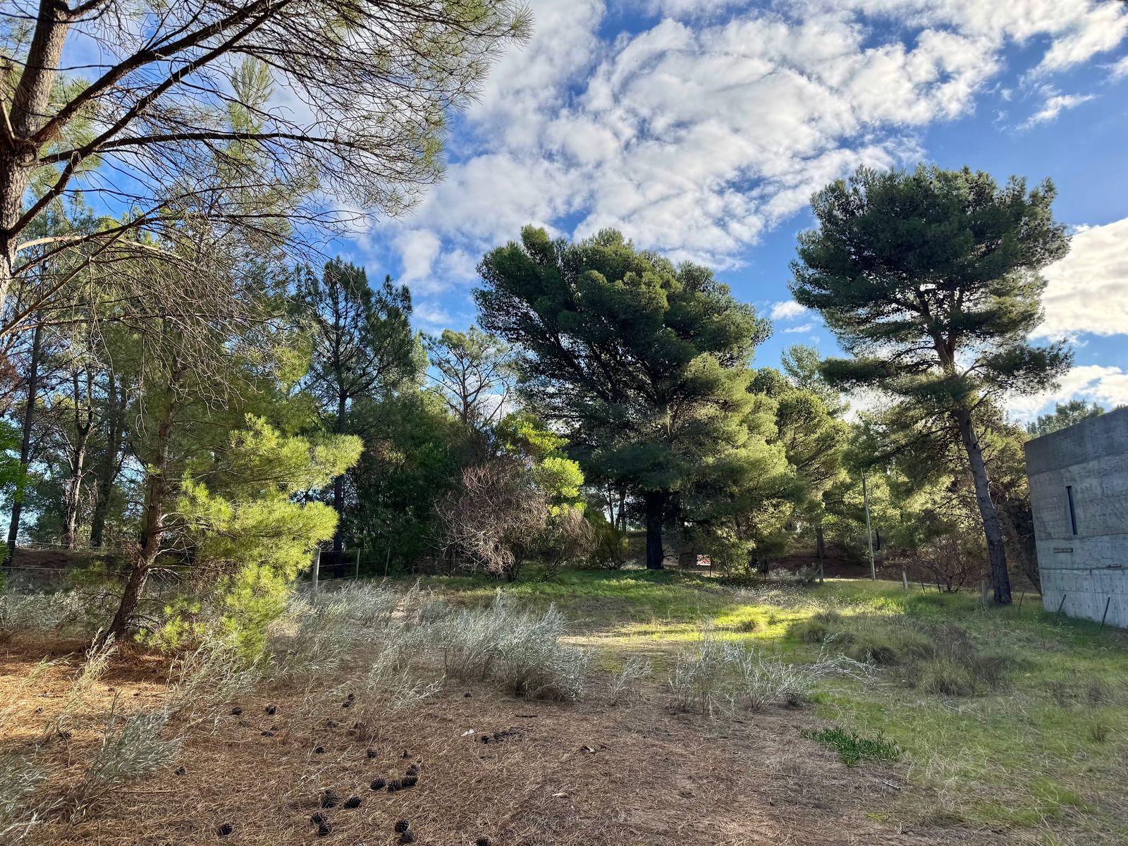 El Gavilán entre Lechuzas y Maipu · Monte Hermoso — foto 4