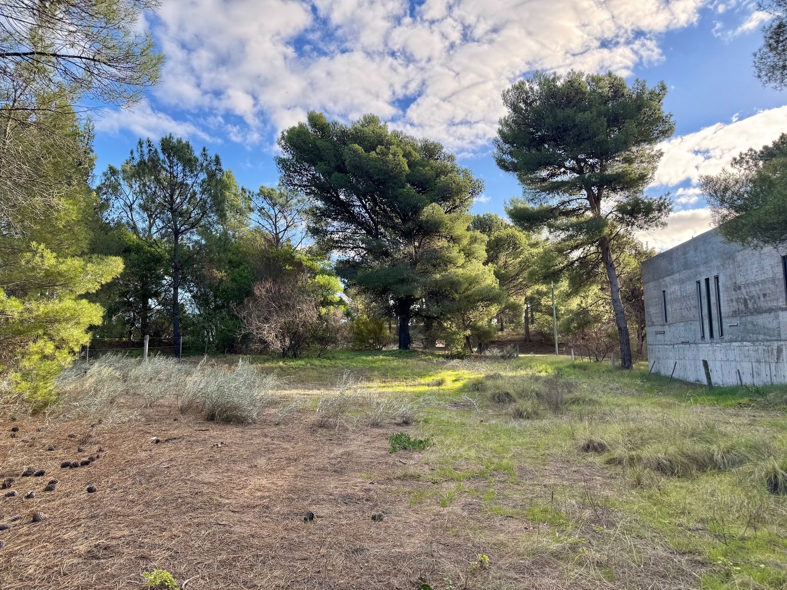El Gavilán entre Lechuzas y Maipu · Monte Hermoso — foto 6