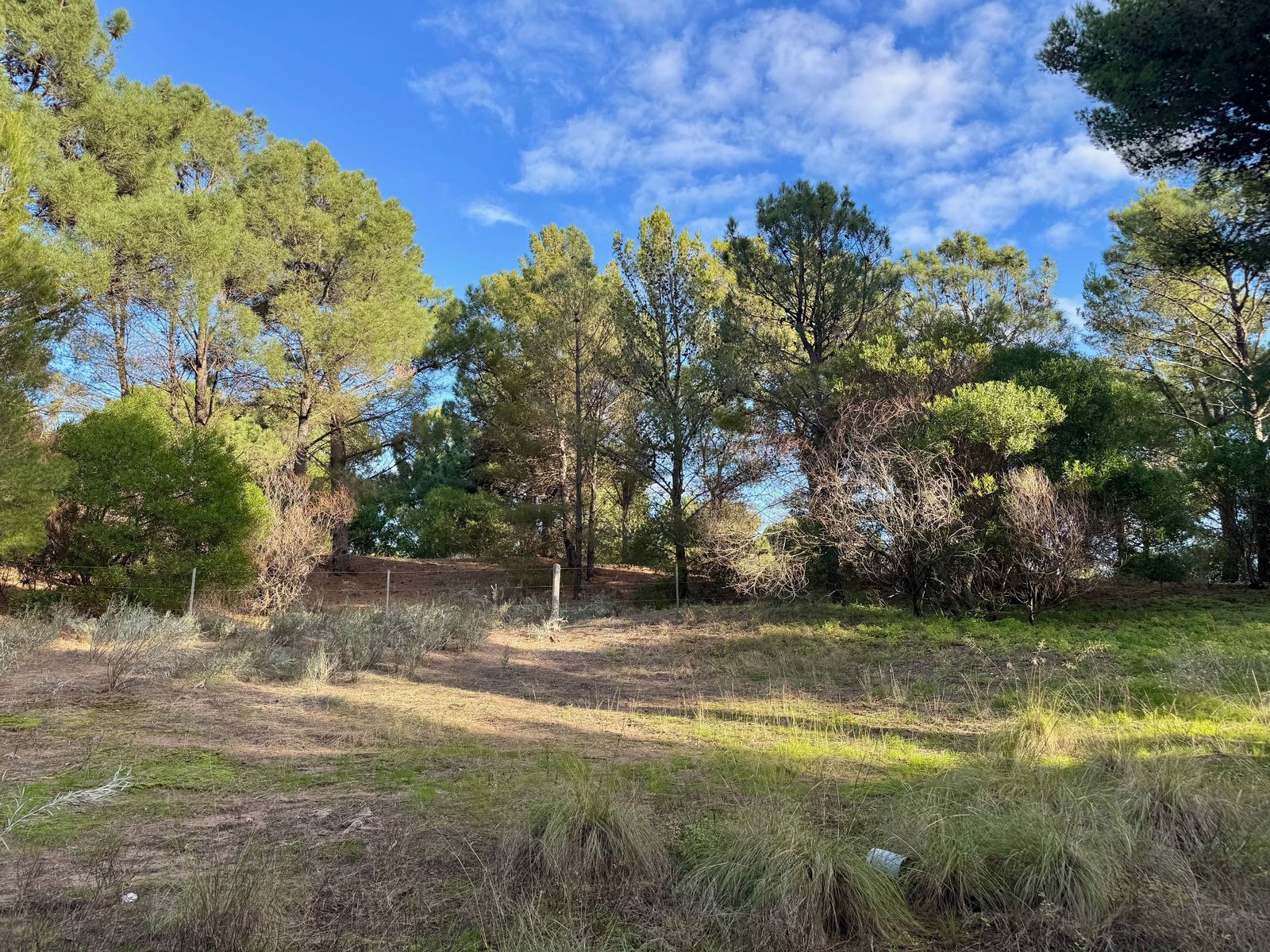 El Gavilán entre Lechuzas y Maipu · Monte Hermoso — foto 7
