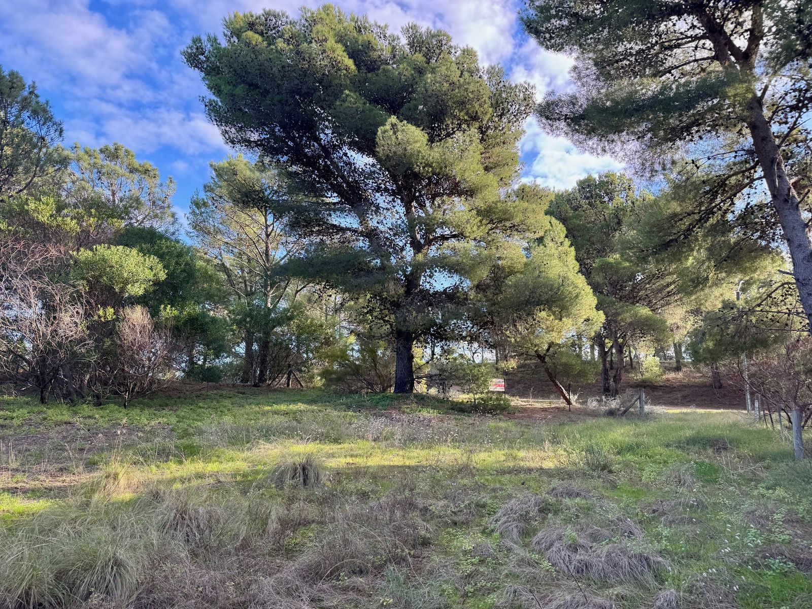 El Gavilán entre Lechuzas y Maipu · Monte Hermoso — foto 8