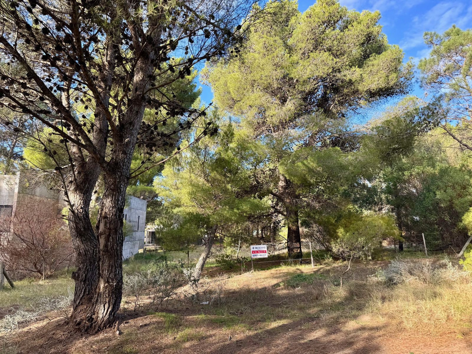 El Gavilán entre Lechuzas y Maipu · Monte Hermoso — foto 10