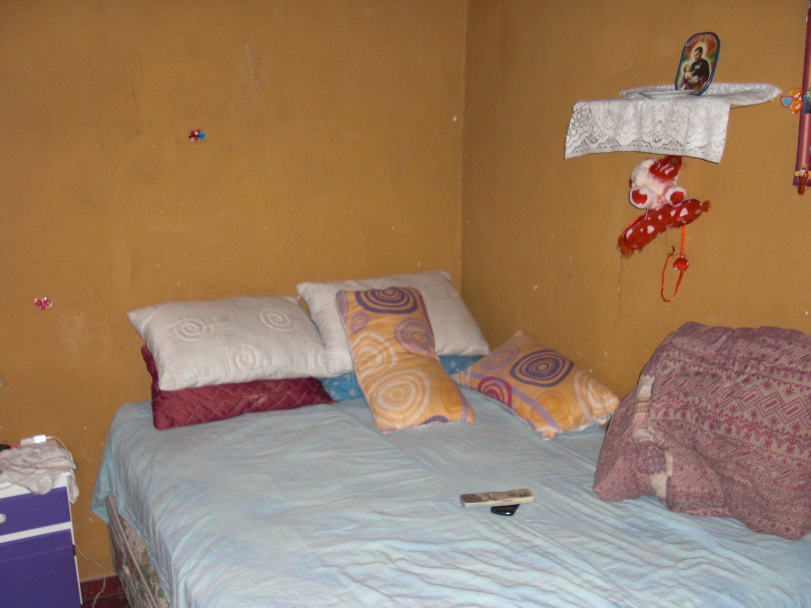 LOS ALELIES 7314 · San Martín — foto 12