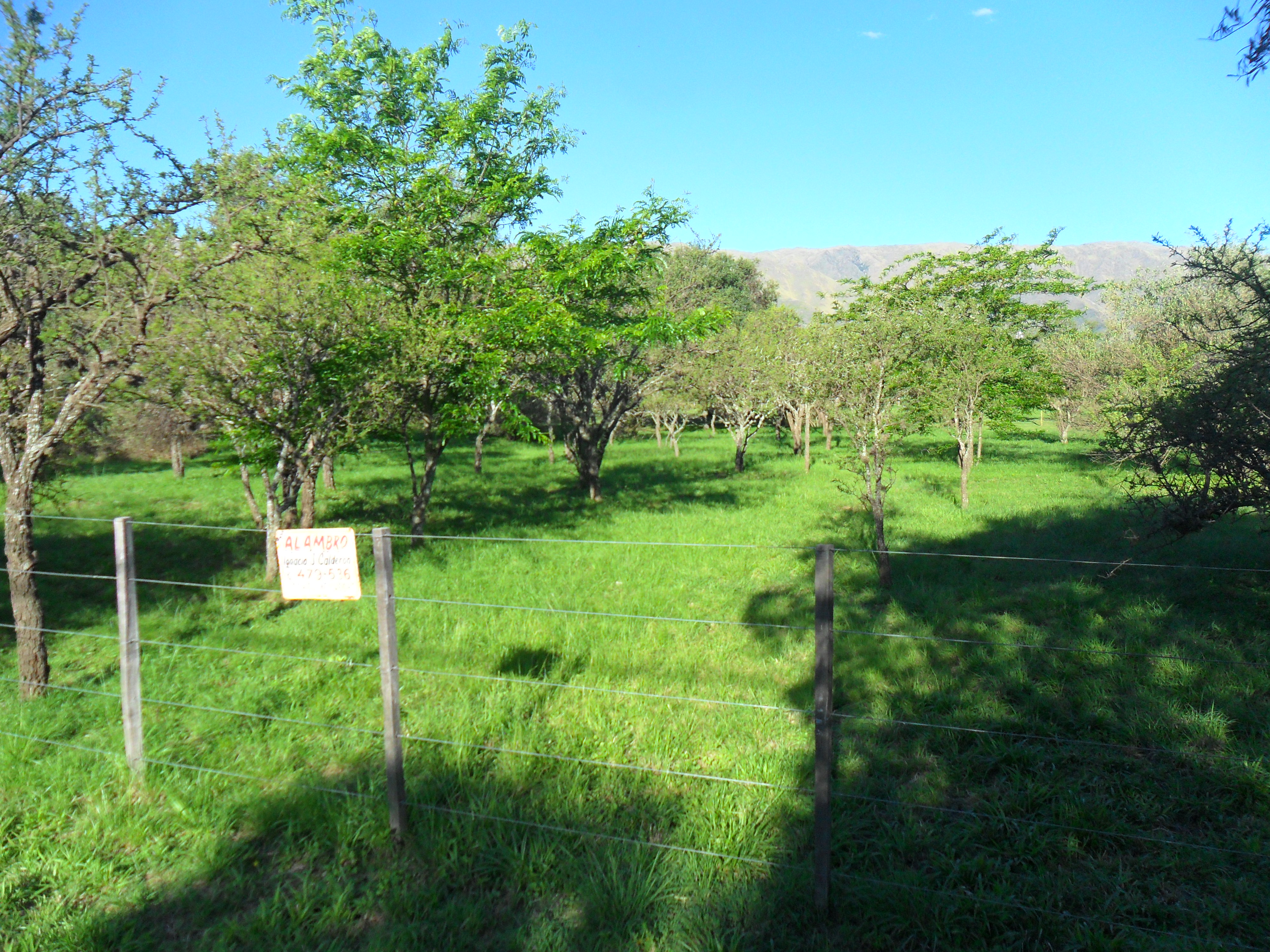 EXCLUSIVO LOTE / MERLO - San Luis (residencial)