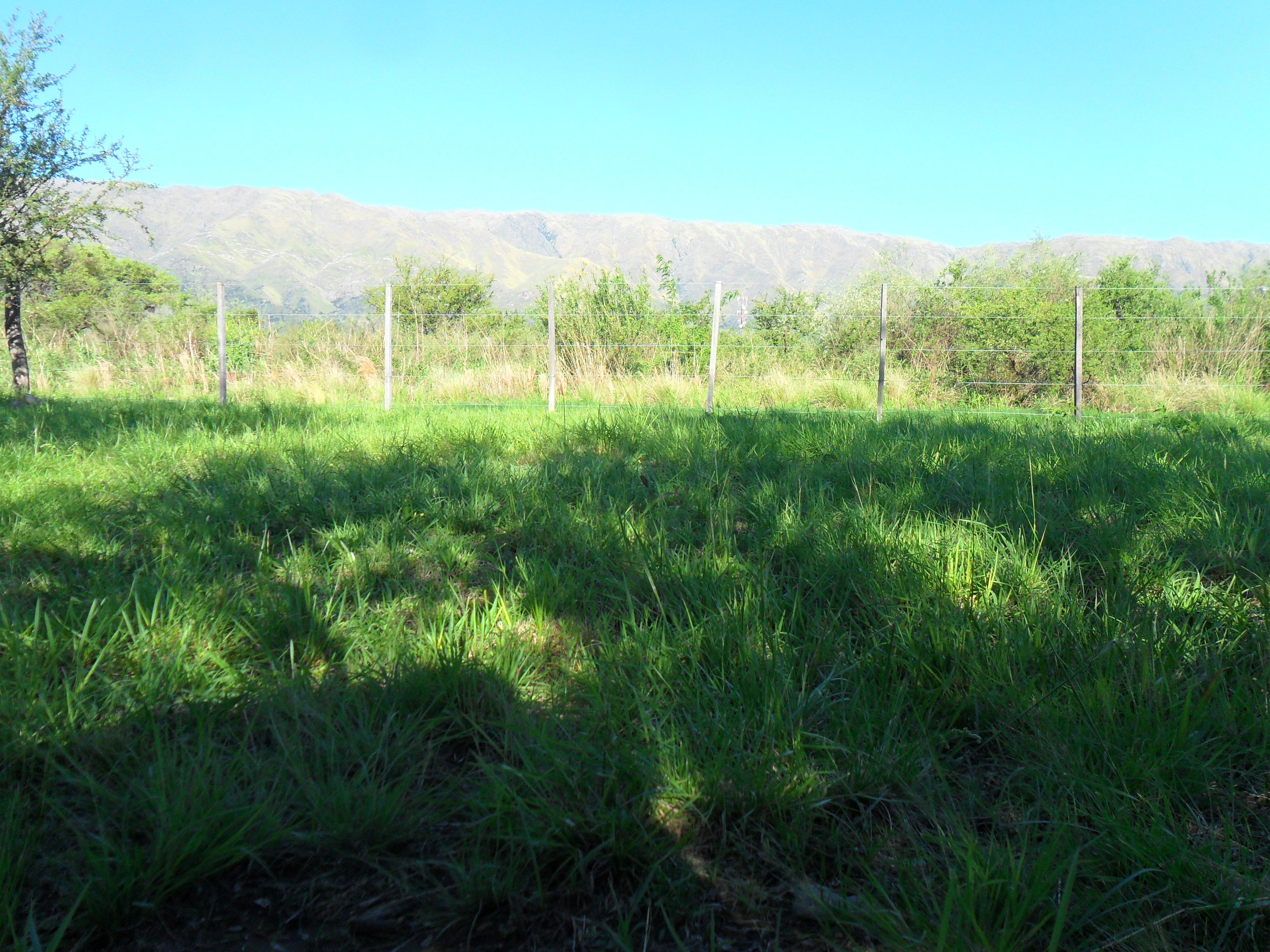 Coronel Mercau · Junín — foto 9