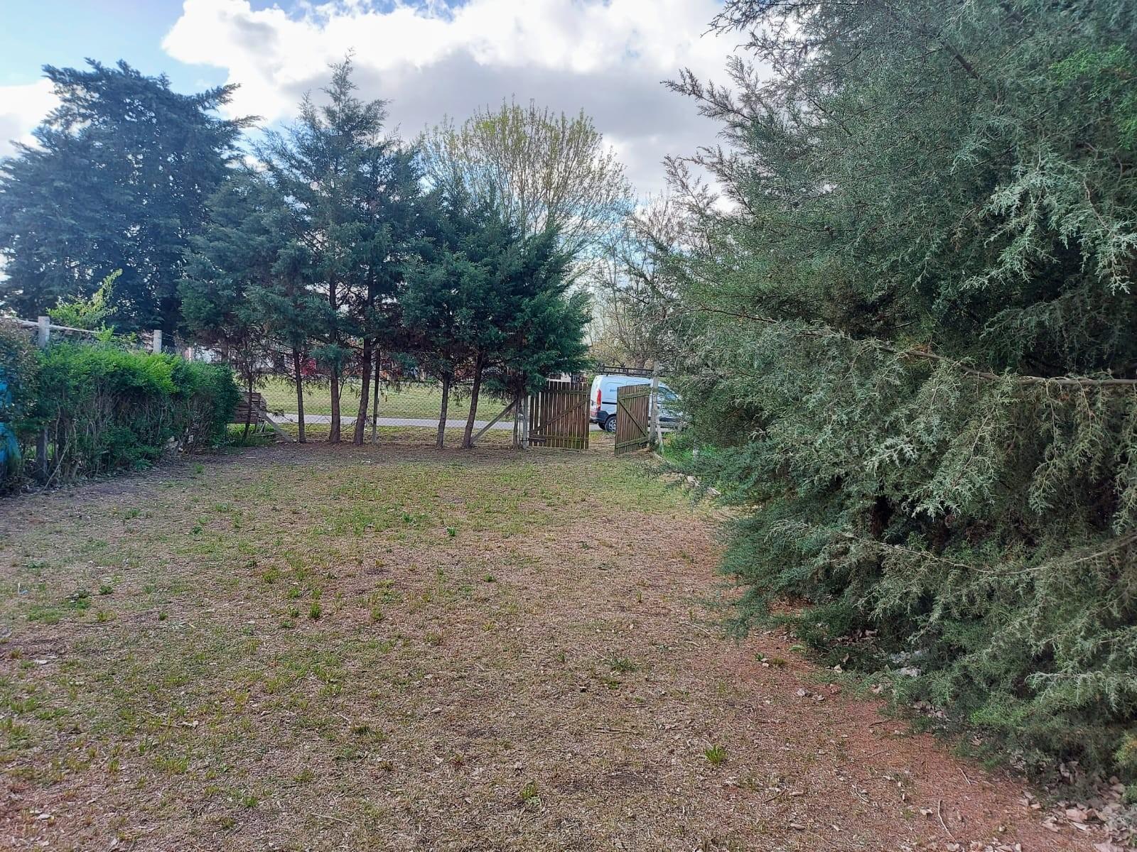 184 y 37 L. OLMOS · La Plata — foto 4