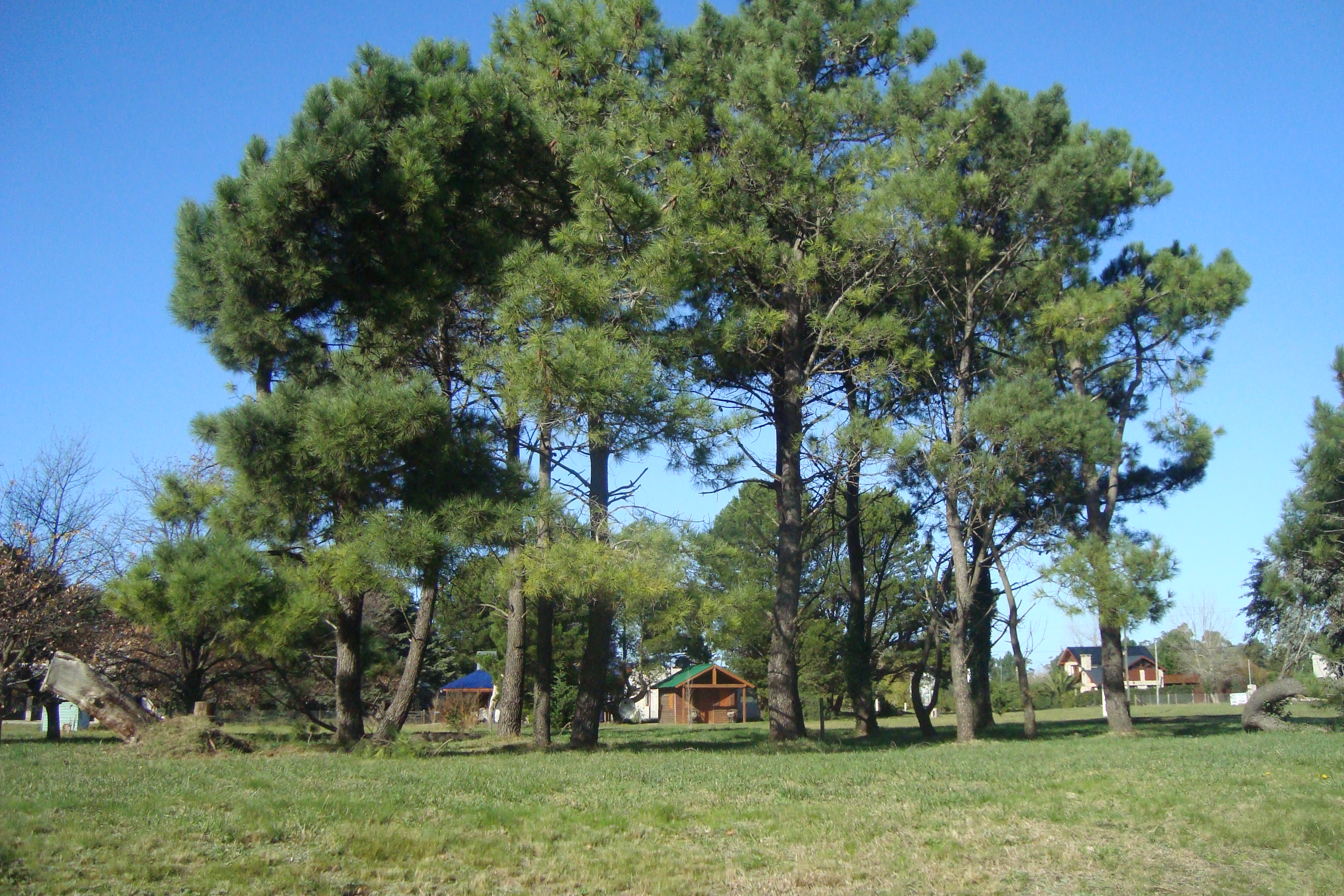 Avenida 40 y Av.del Mar · General Alvarado — foto 5