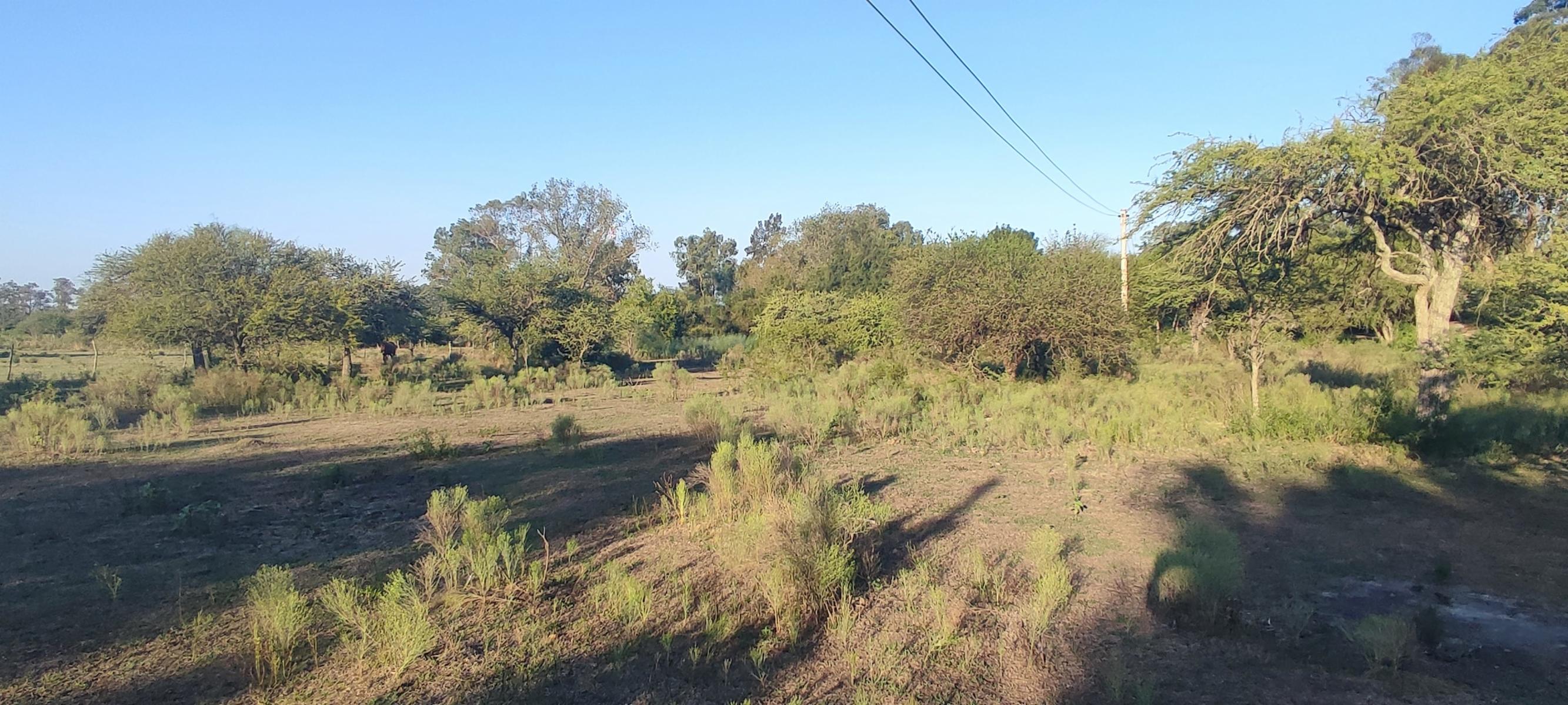 AUTOVIA RUTA 14 · Colón — foto 4