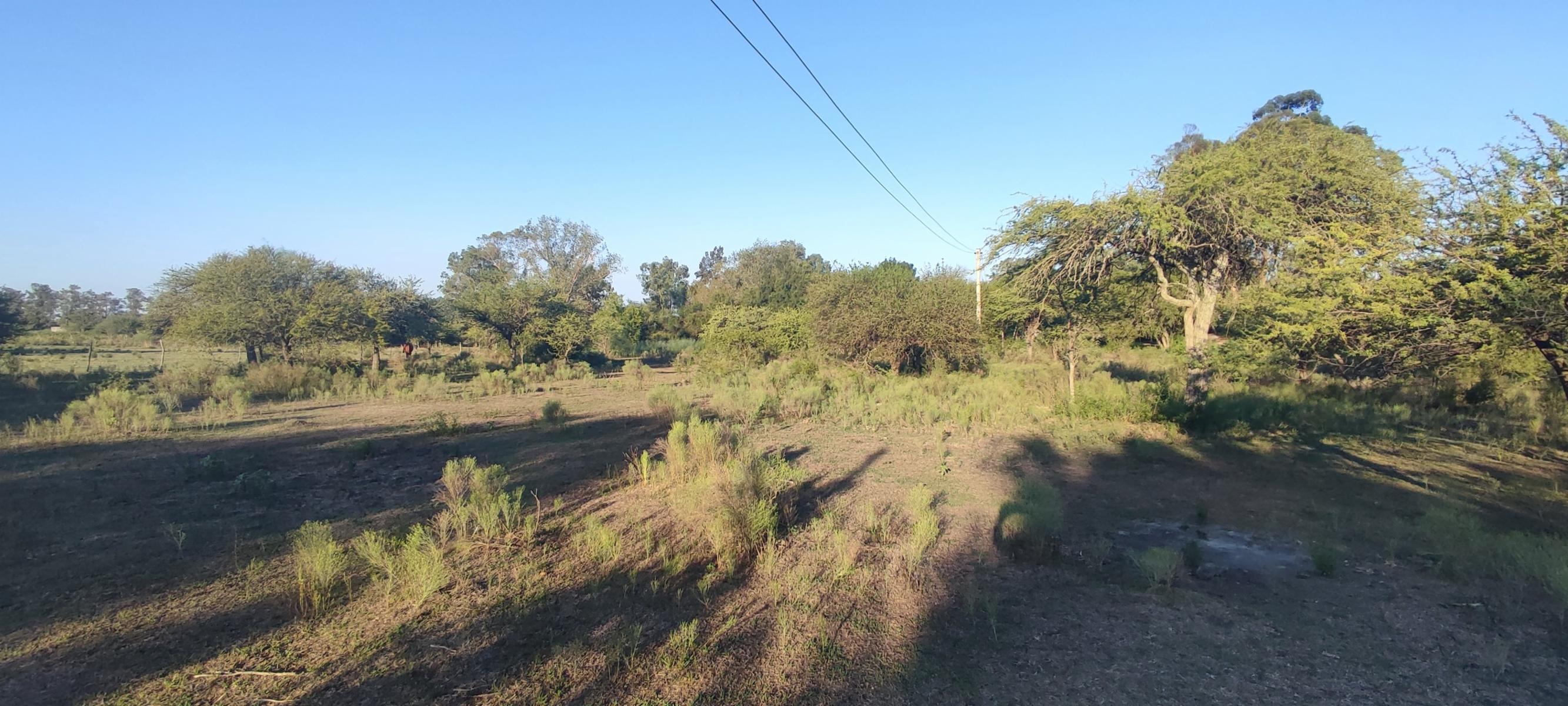 AUTOVIA RUTA 14 · Colón — foto 5