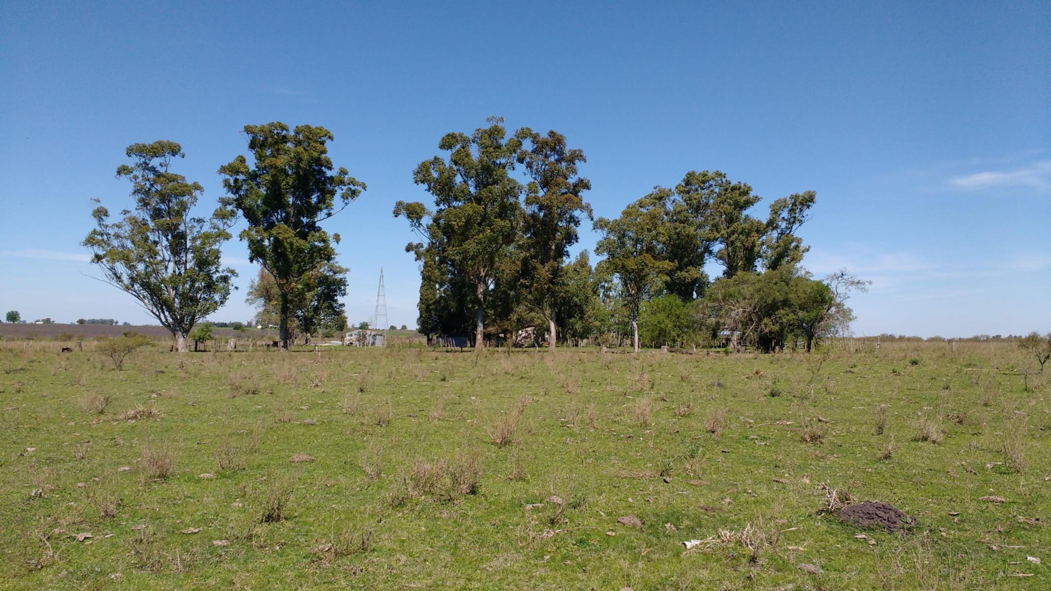 COLONIA 3 DE FEBRERO 100 HAS · Colón — foto 12
