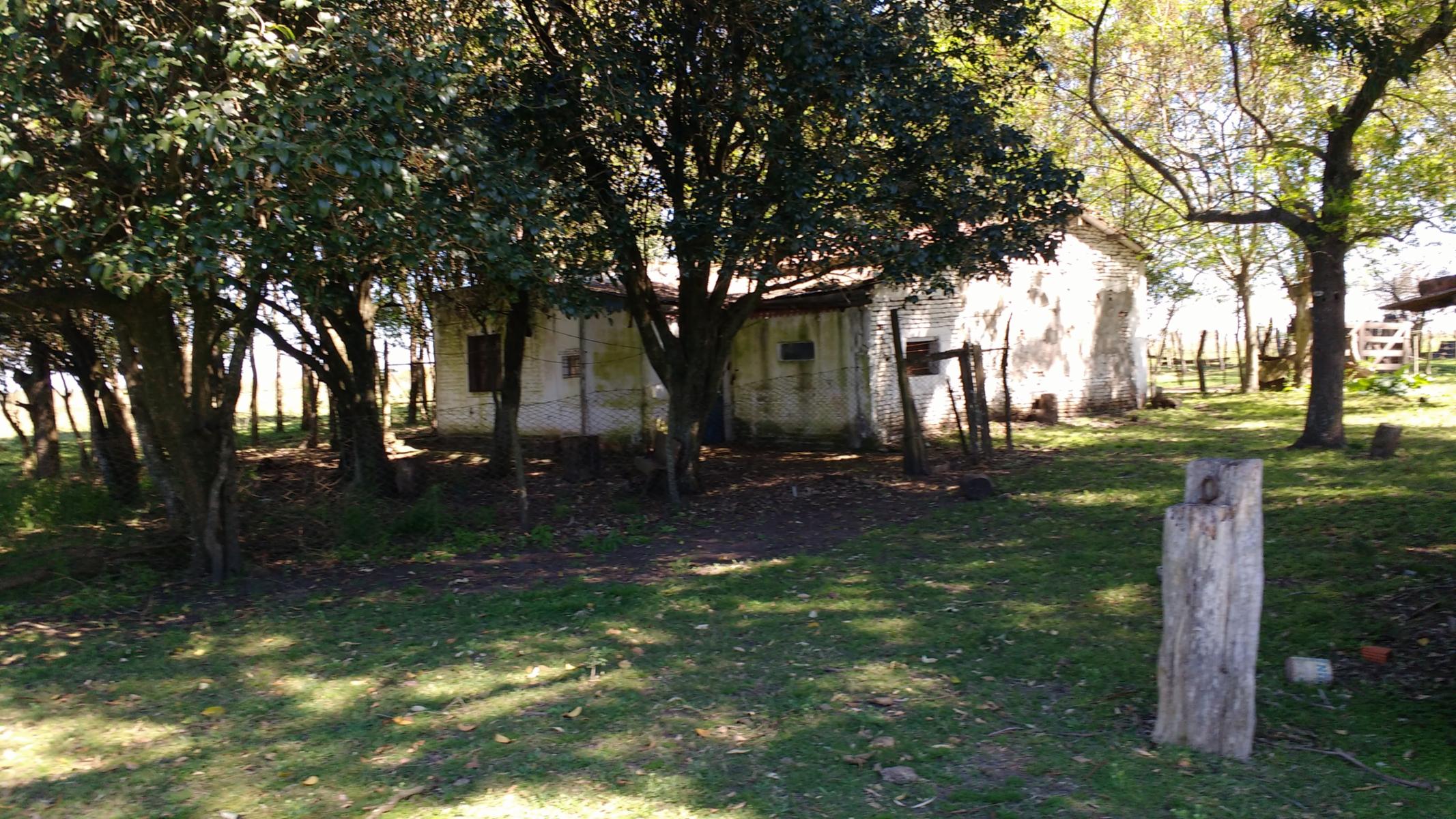 COLONIA 3 DE FEBRERO 100 HAS · Colón — foto 4
