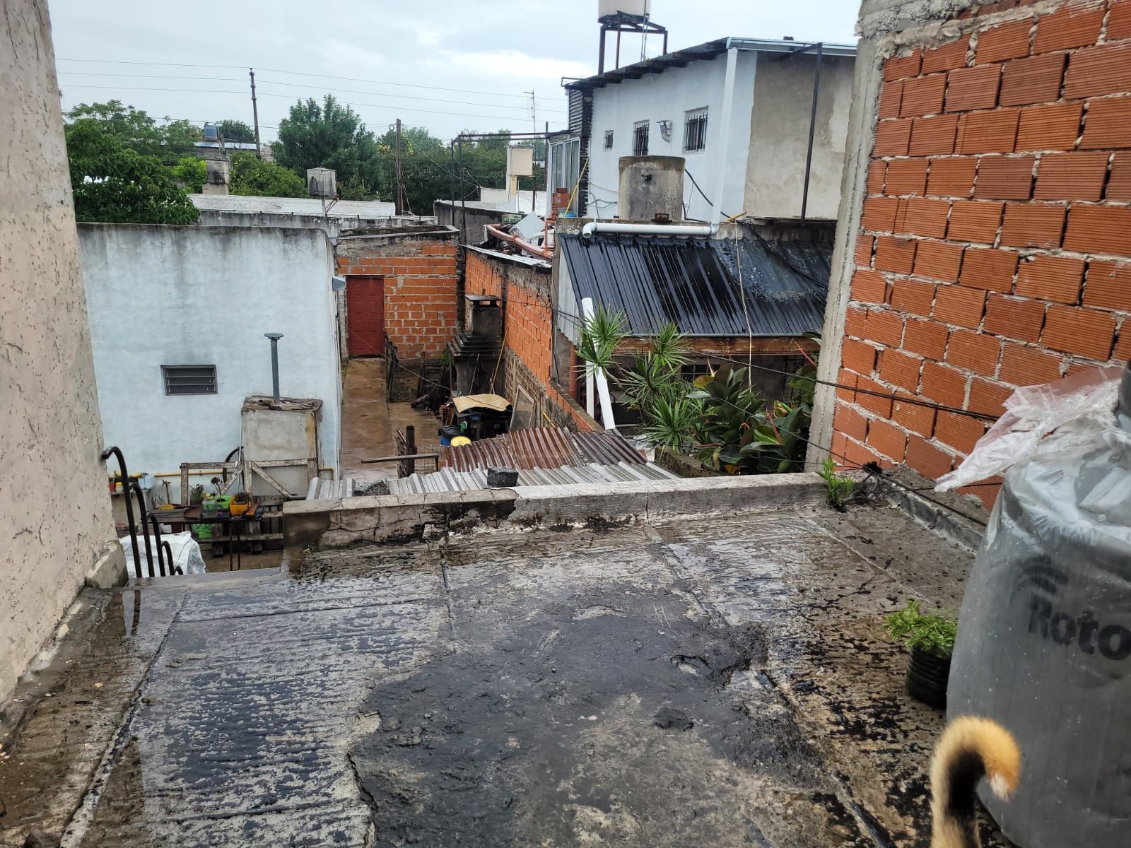 Churrinche 3700 · Lomas De Zamora — foto 5