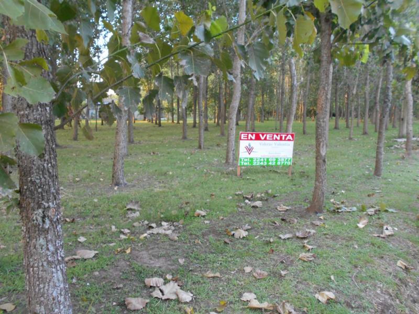 Lote en Barrio Leufú kiñe 100 – General Belgrano – Buenos Aires