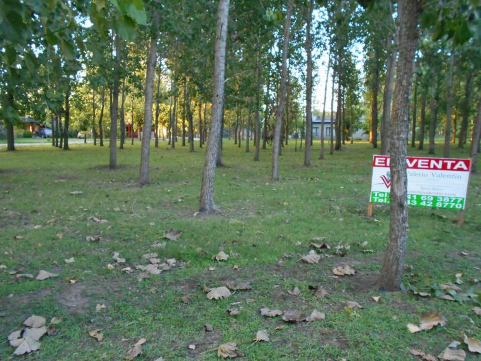Leufú kiñe 100 · General Belgrano — foto 3