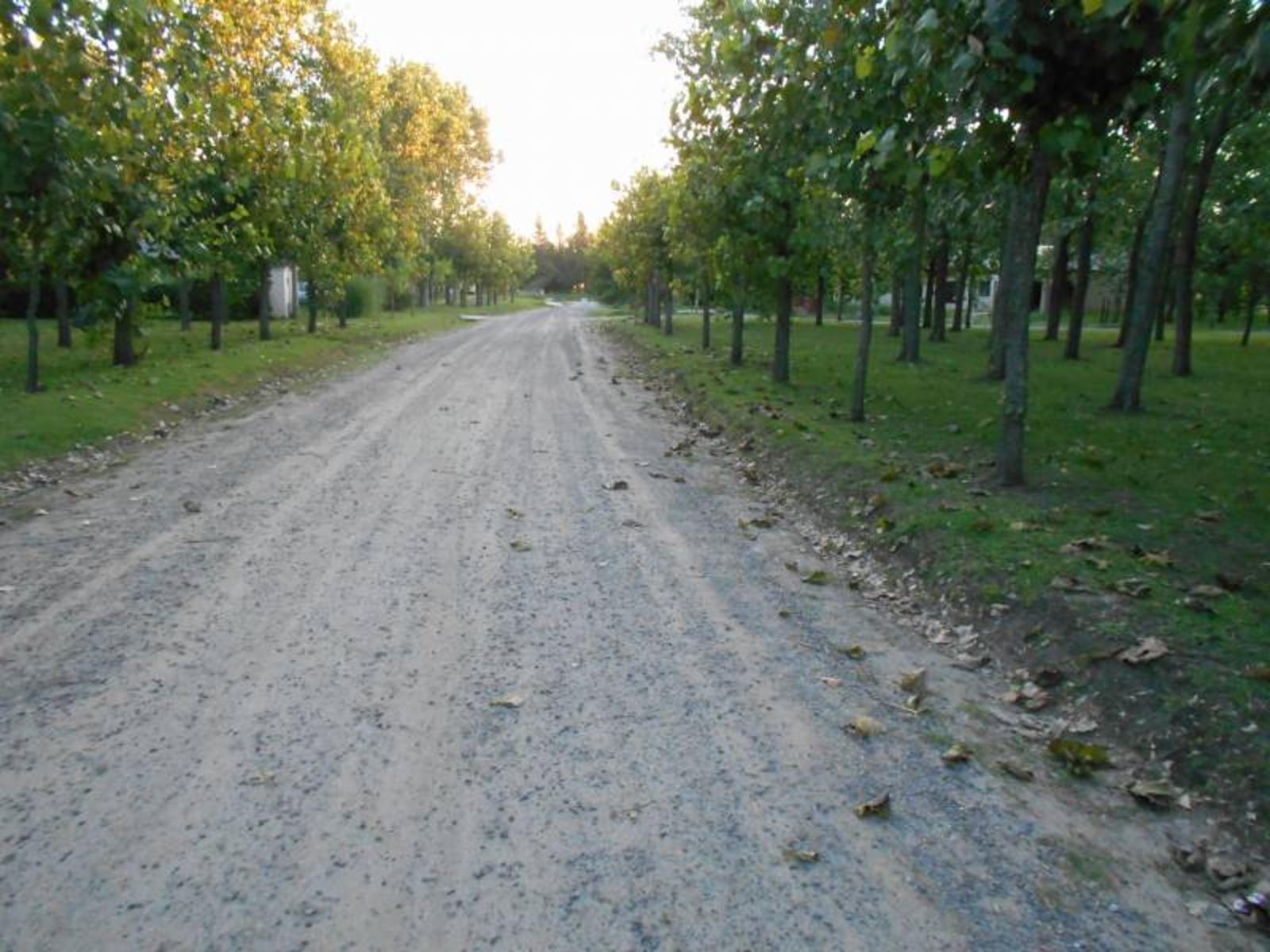 Leufú kiñe 100 · General Belgrano — foto 4
