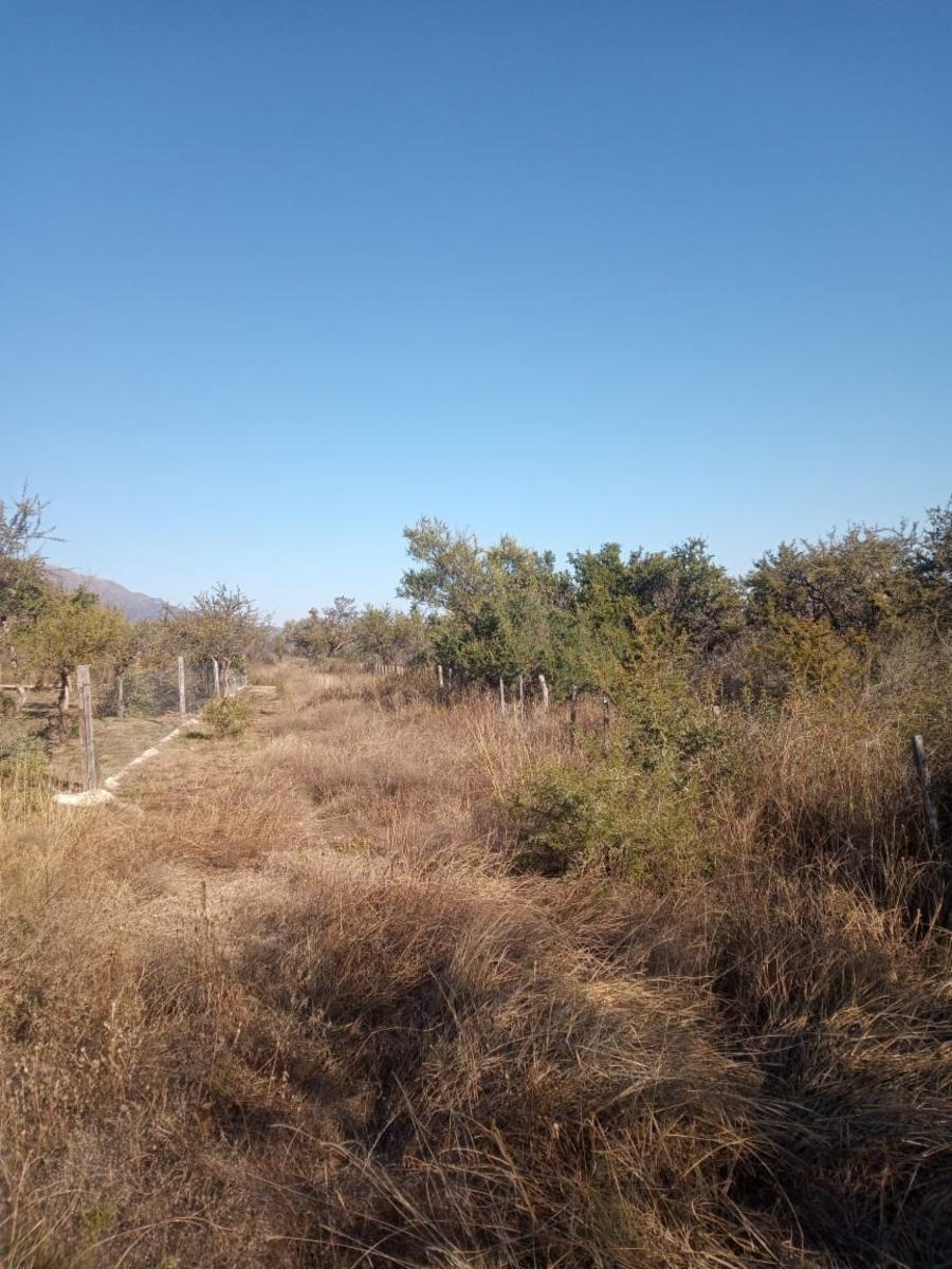 ¡Oportunidad Única Venta de 1 Hectárea en Carpintería Arriba, Merlo, San Luis