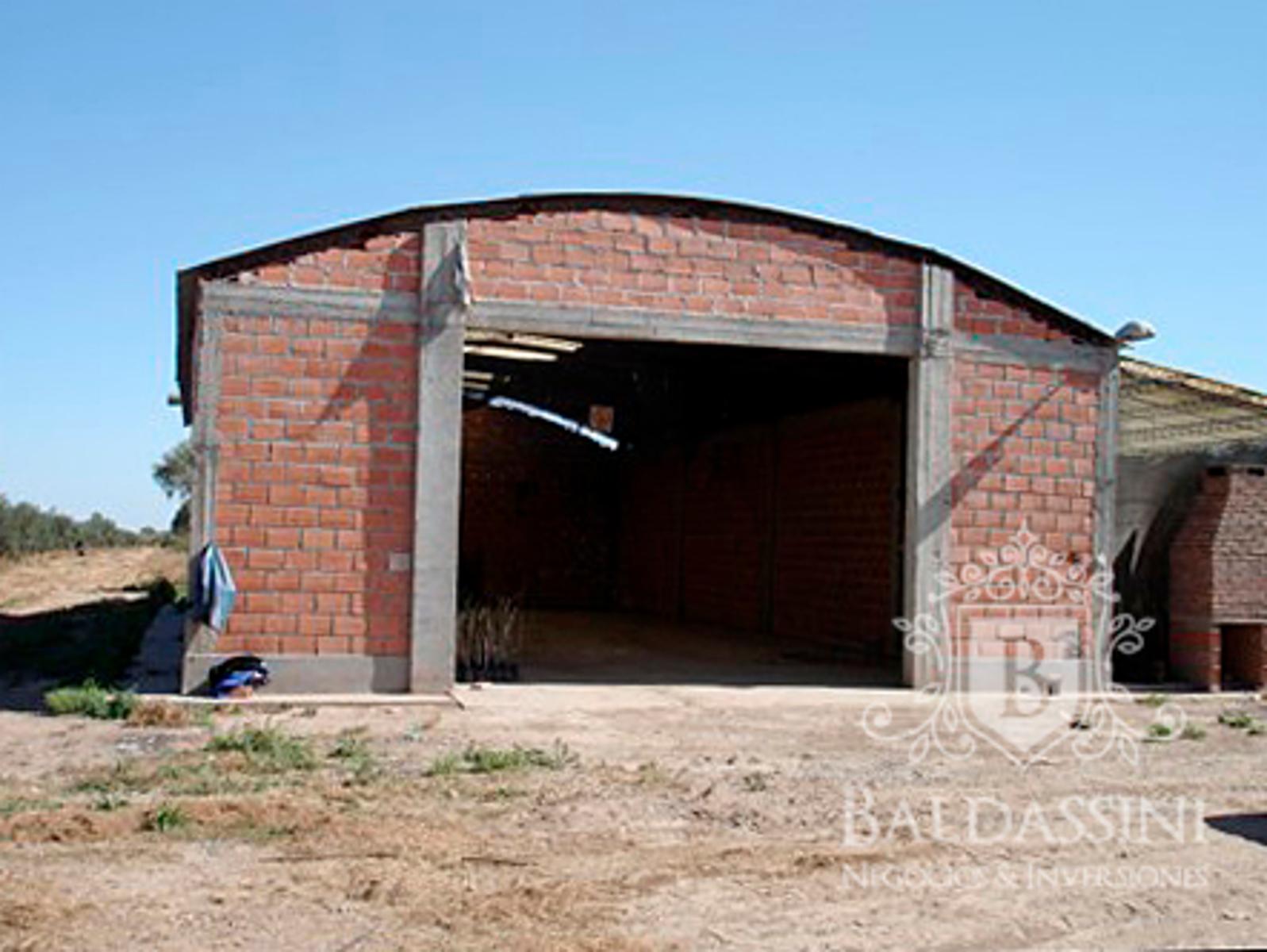 300 has en Chumbicha con Olivares sobre ruta 38 · Capayán — foto 3