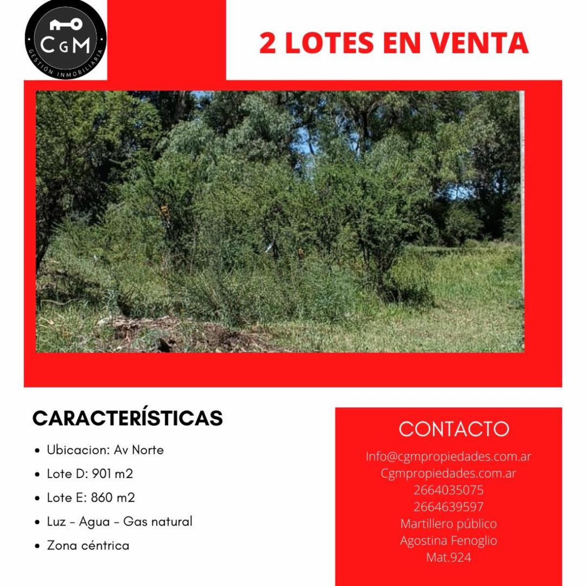 AV NORTE, MERLO, SAN LUIS · Junín — foto 3