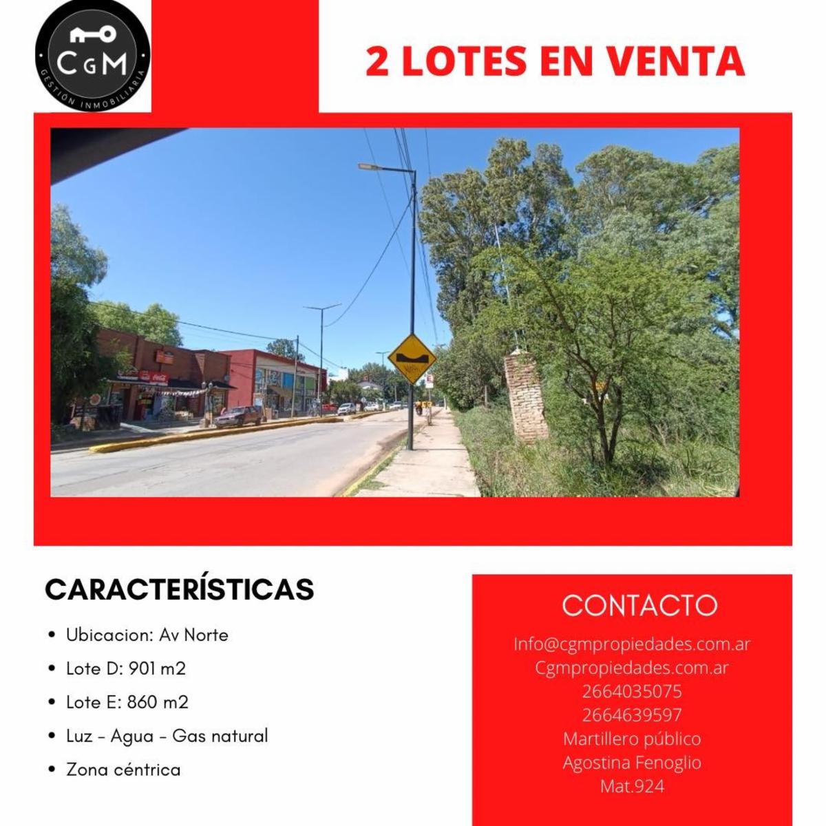 AV NORTE, MERLO, SAN LUIS · Junín — foto 4