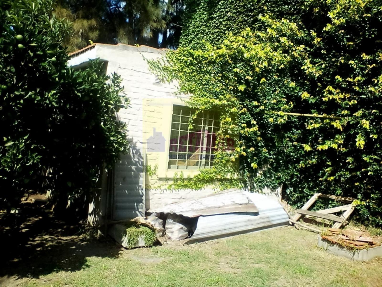 Copérnico · Moreno — foto 23