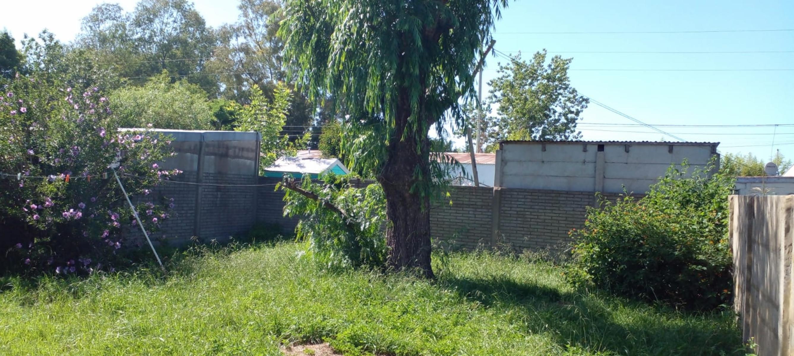 Emilio Diaz · Brandsen — foto 5