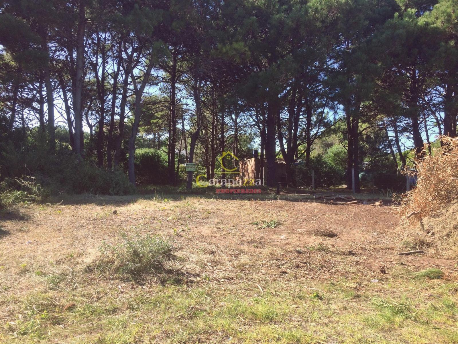 Terreno en Venta en Nueva Atlantis, Partido de la Costa, Buenos Aires