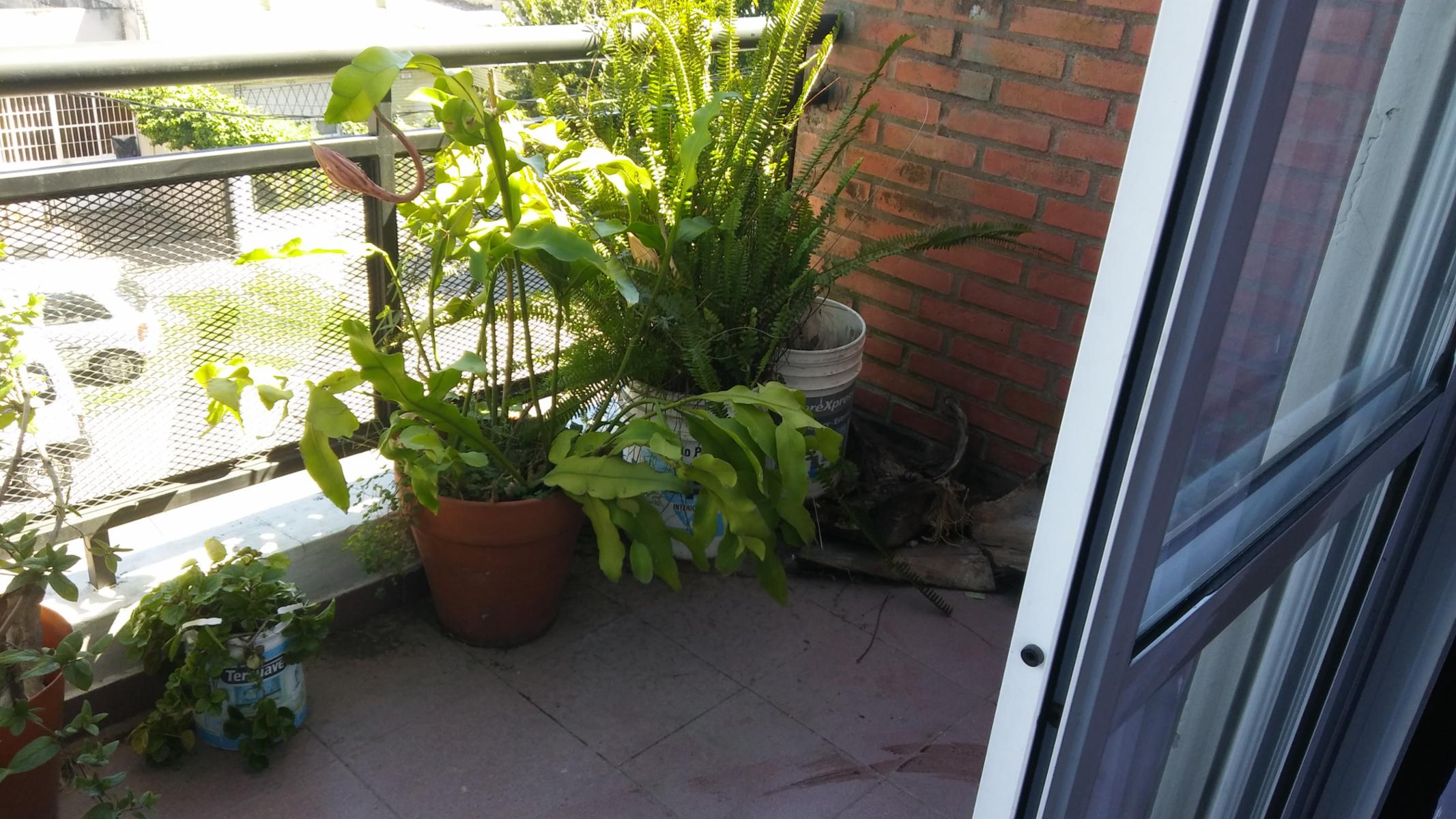 VELEZ SARSFIELD 1250 · Morón — foto 6