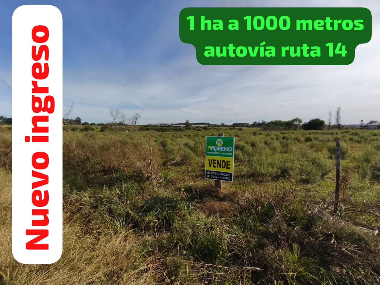 VENTA HECTAREA COLONIA NUEVA AL NORTE