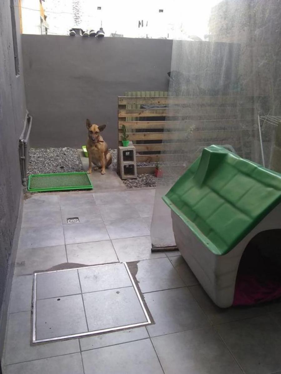 Alsina 800 · San Fernando — foto 9