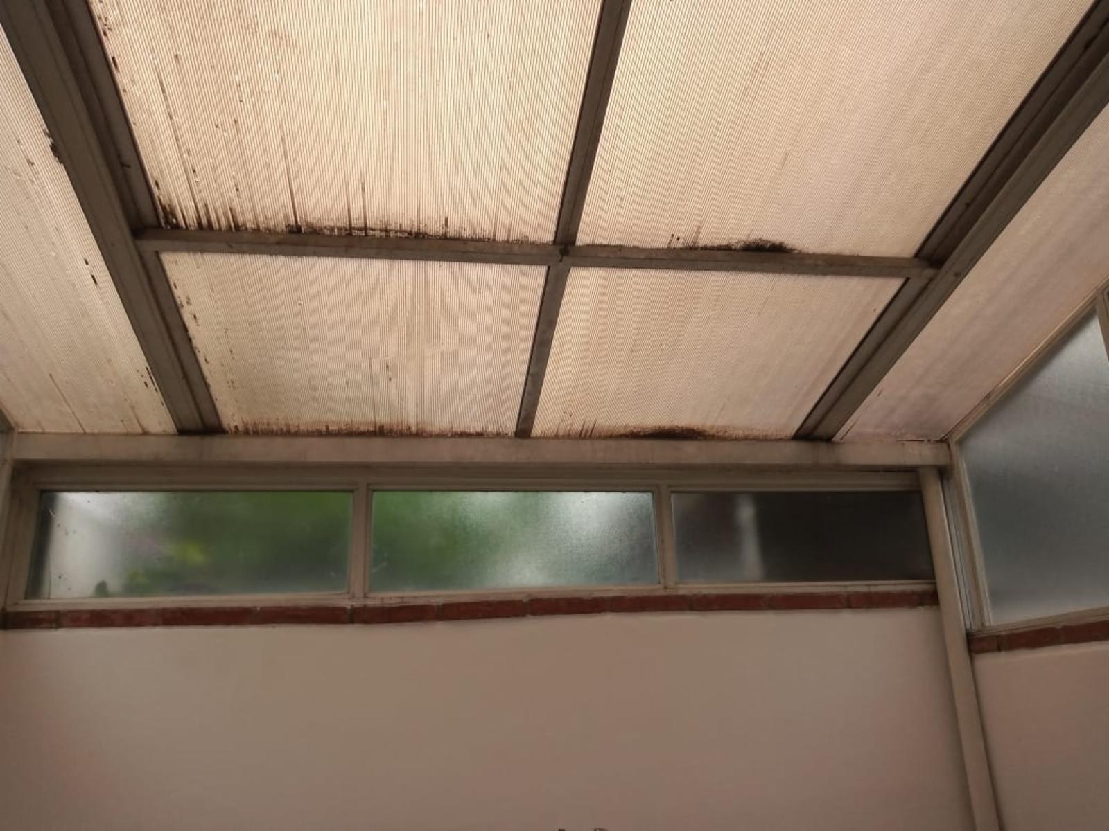 Camacua 2019 · La Matanza — foto 10
