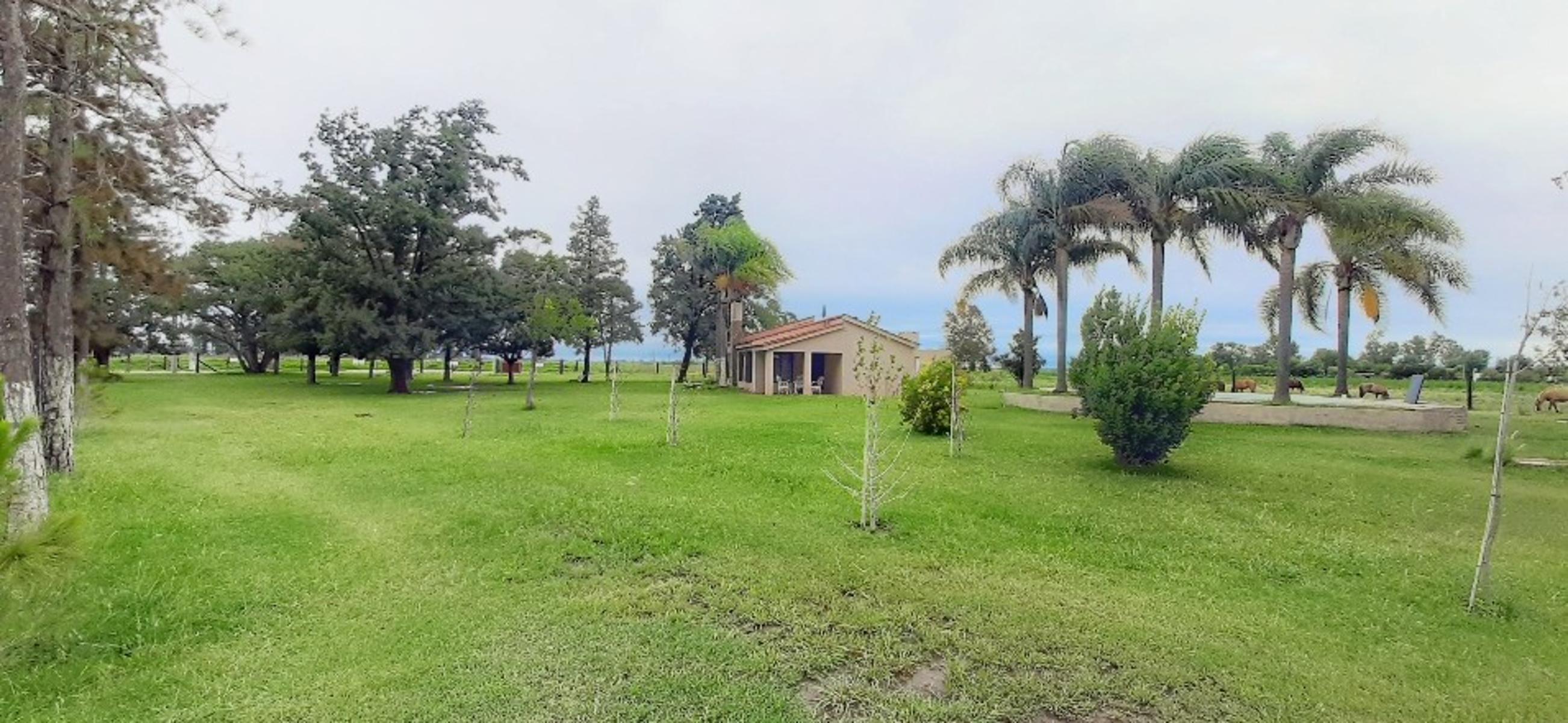 Ruiz Bienes Raíces Los Pinos 2 casa sobre boulevard central Ruta AO12 kilómetro 9 · Rosario — foto 3