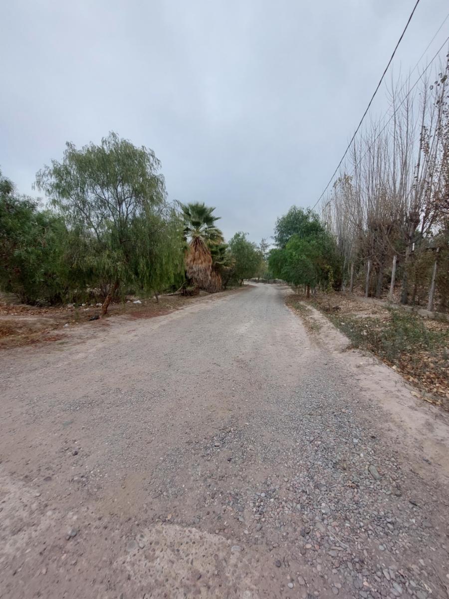 Juan Bonillo · Ullum — foto 5