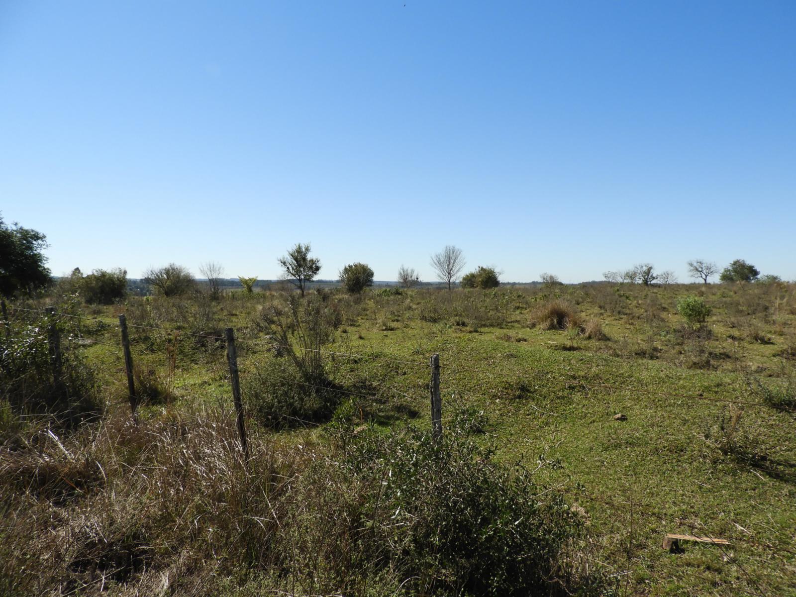 RUTA 94 · Apóstoles — foto 8