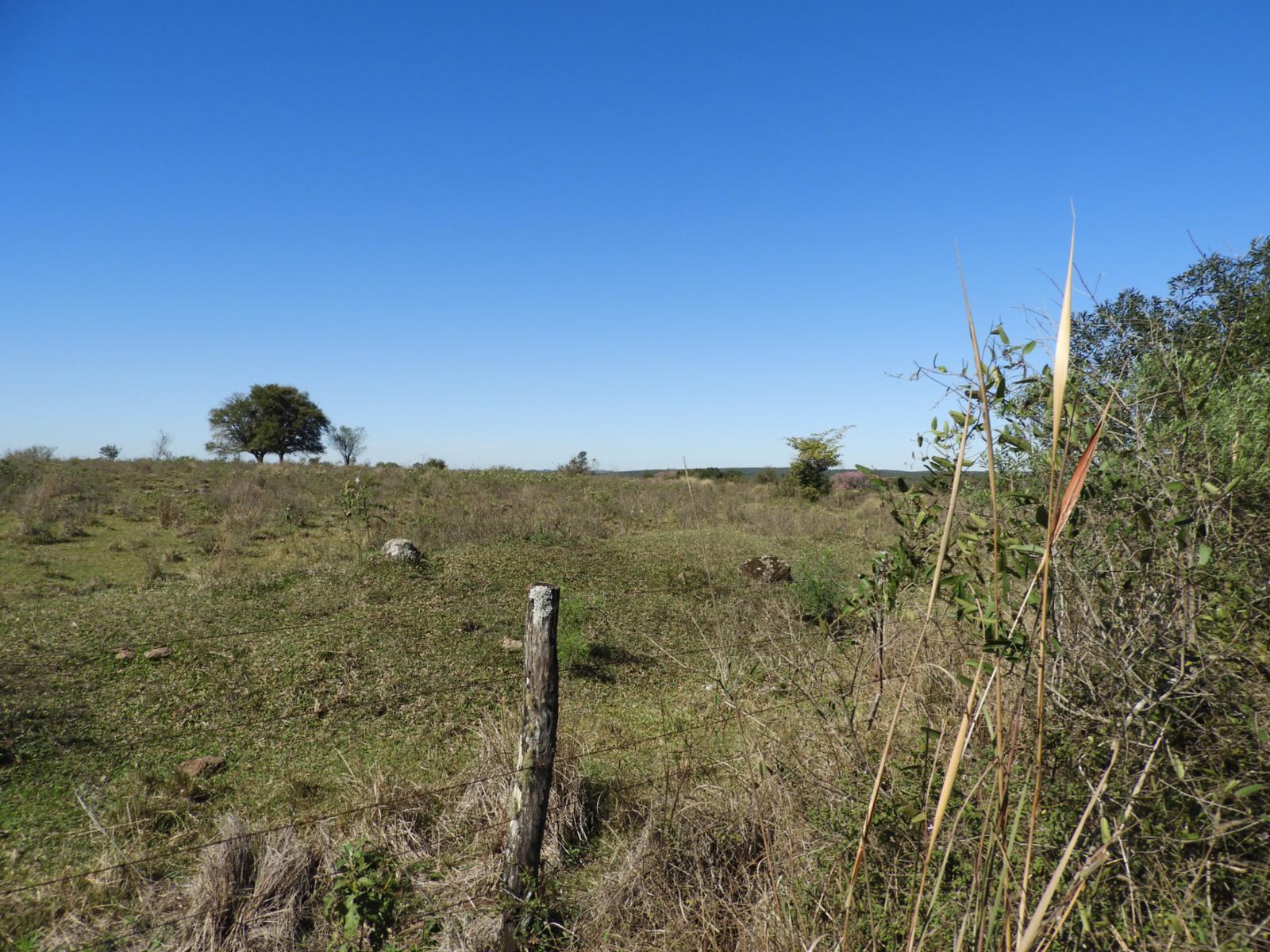 RUTA 94 · Apóstoles — foto 9
