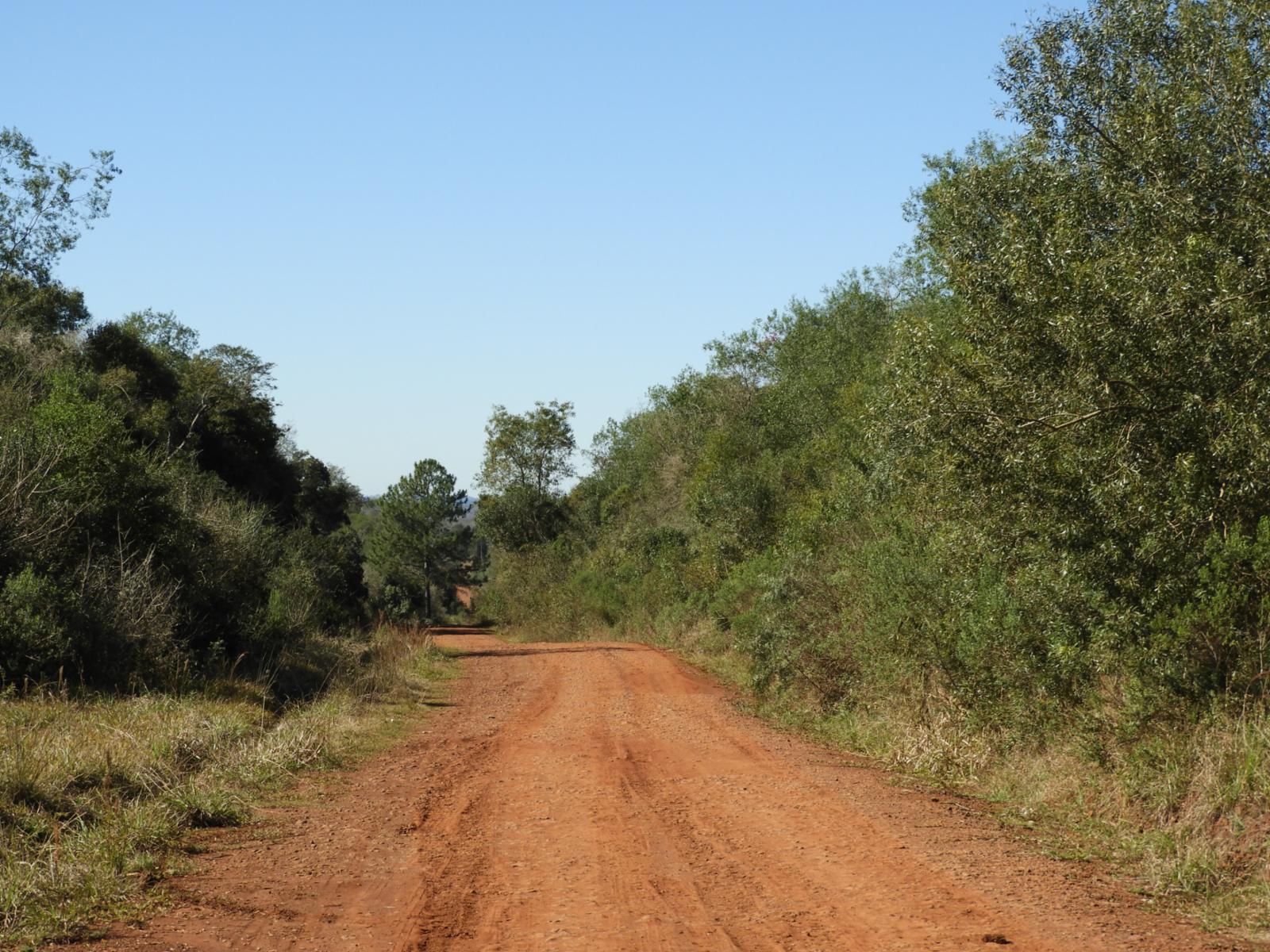 RUTA 94 · Apóstoles — foto 10