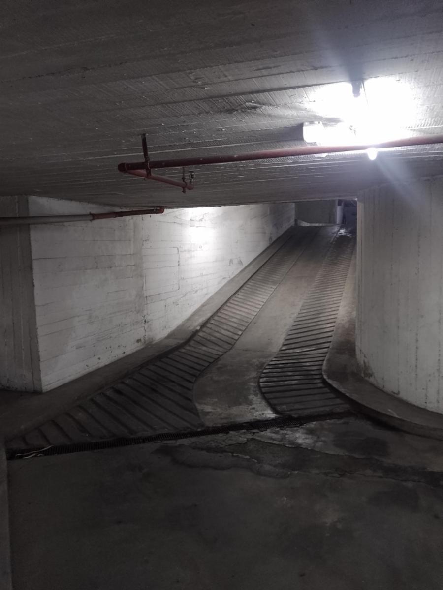 Ramon L. Falcon 4000 · Floresta — foto 3