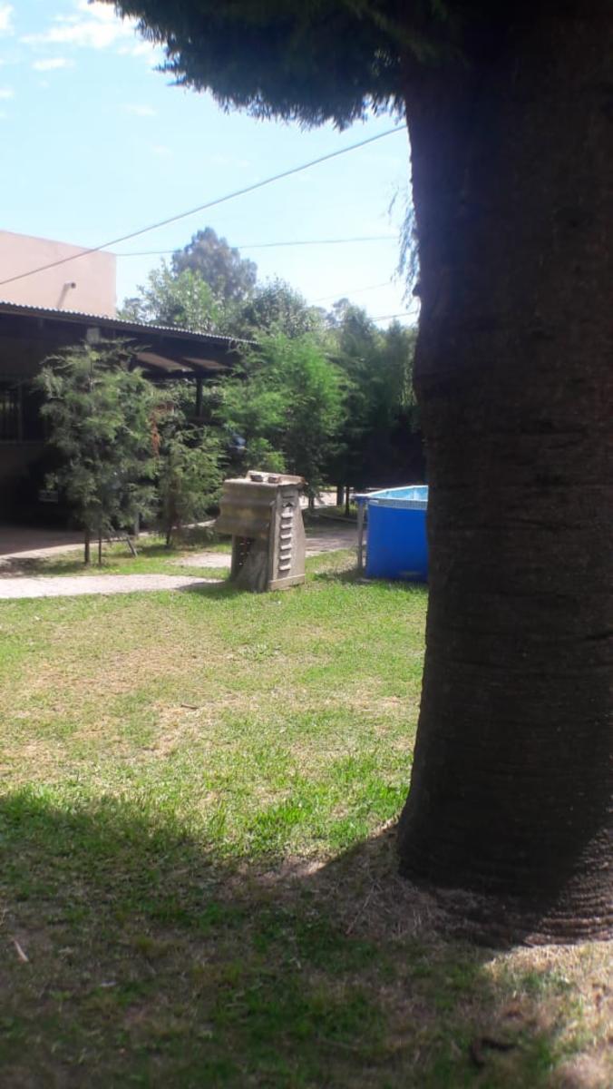 Conesa · Moreno — foto 10