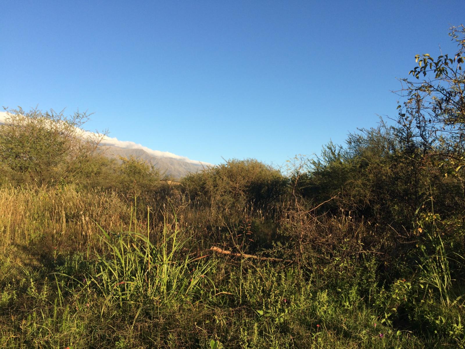 Villa de las Rosas · San Javier — foto 4