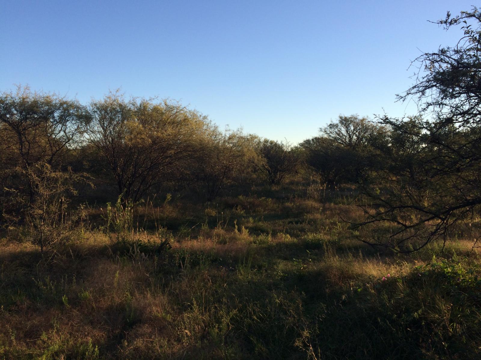 Villa de las Rosas · San Javier — foto 7