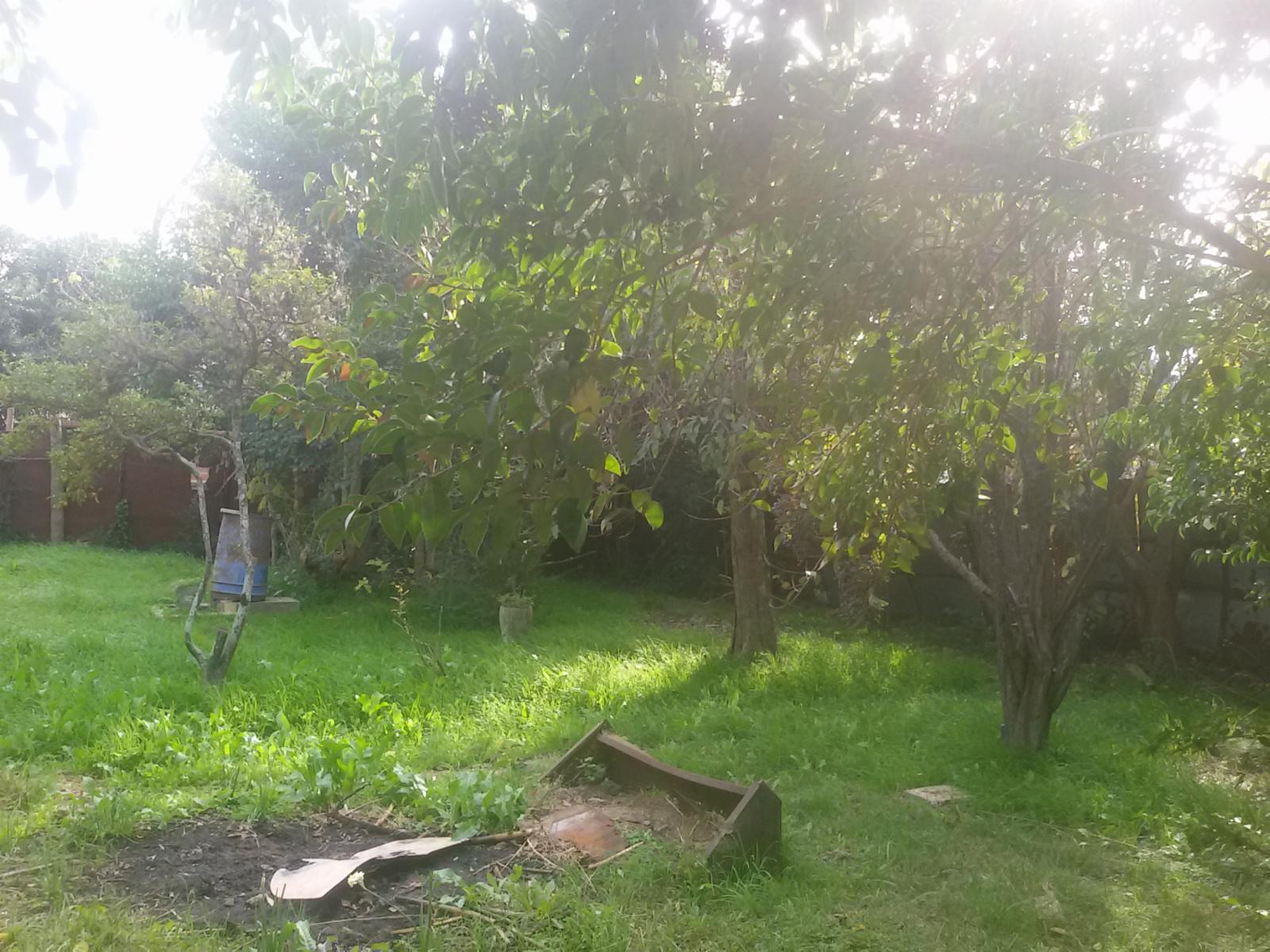 CARRANZA  AL 380 · Escobar — foto 3