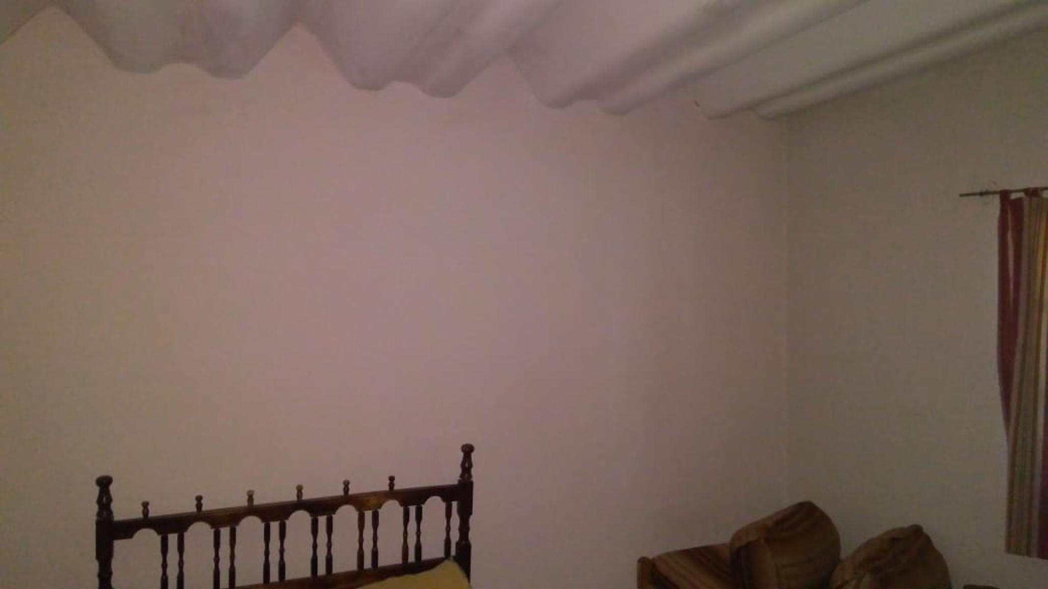 Zorzal 6576 · Toay — foto 14