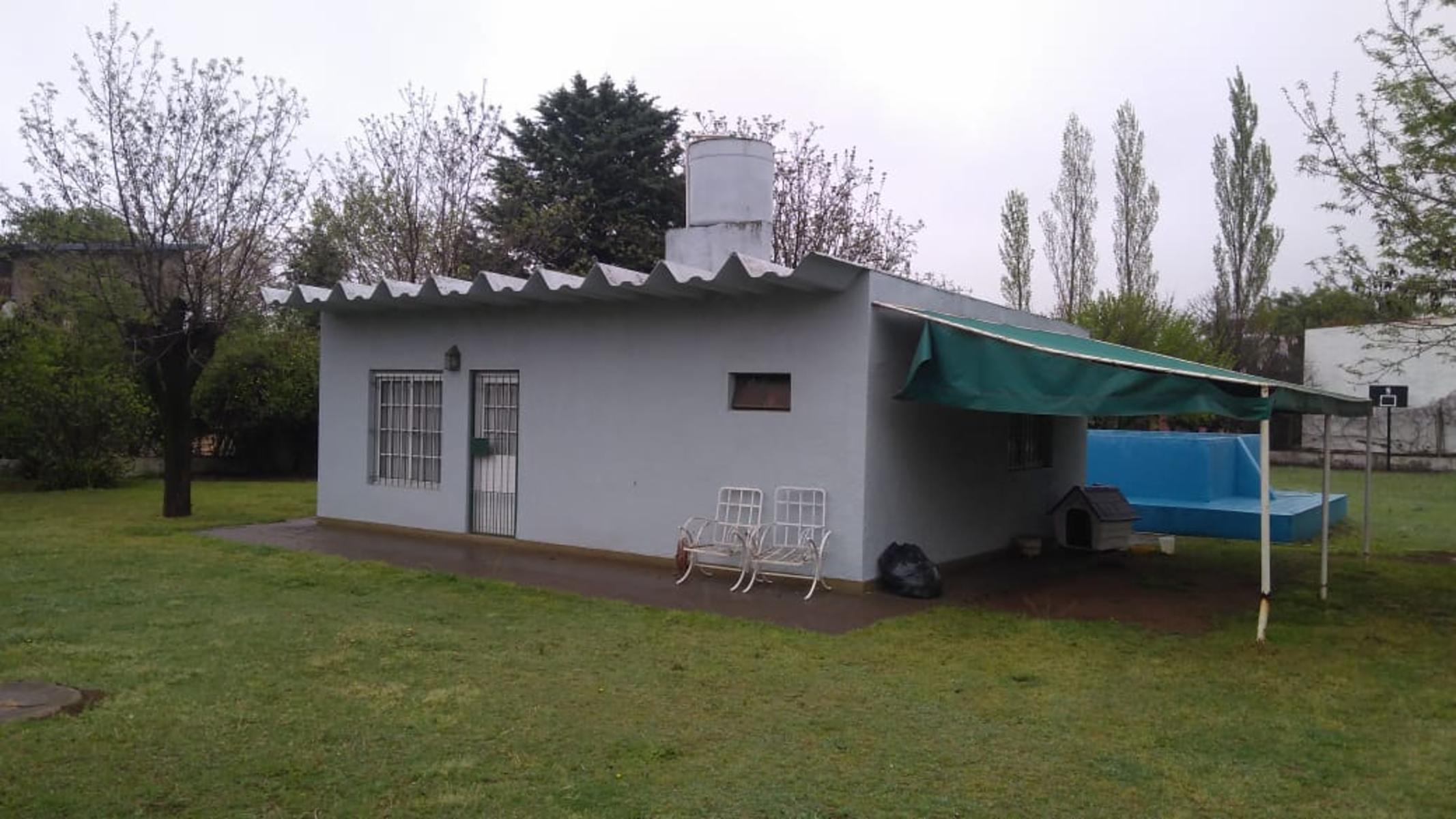 Zorzal 6576 · Toay — foto 3
