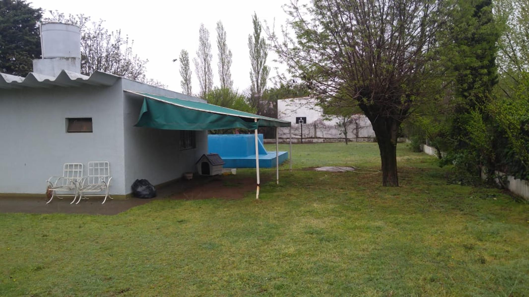 Zorzal 6576 · Toay — foto 4