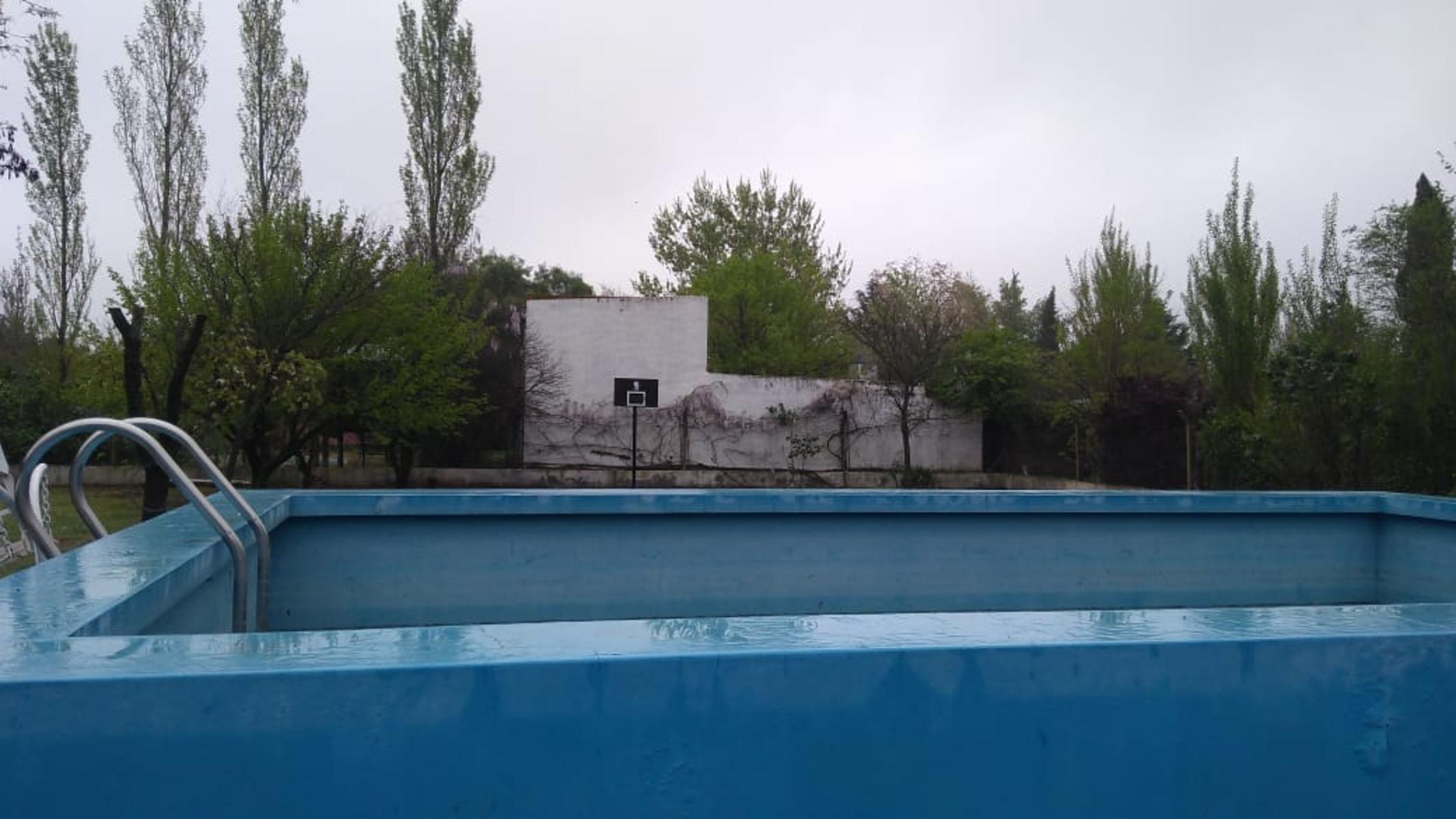 Zorzal 6576 · Toay — foto 5