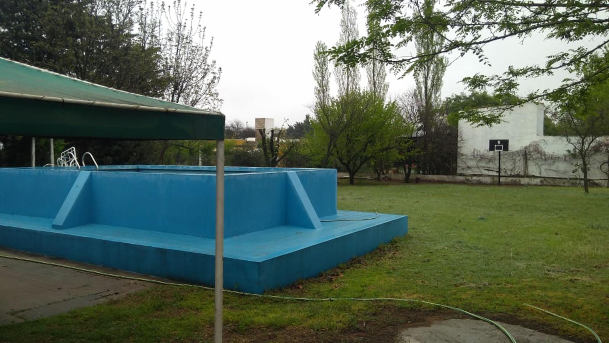 Zorzal 6576 · Toay — foto 6